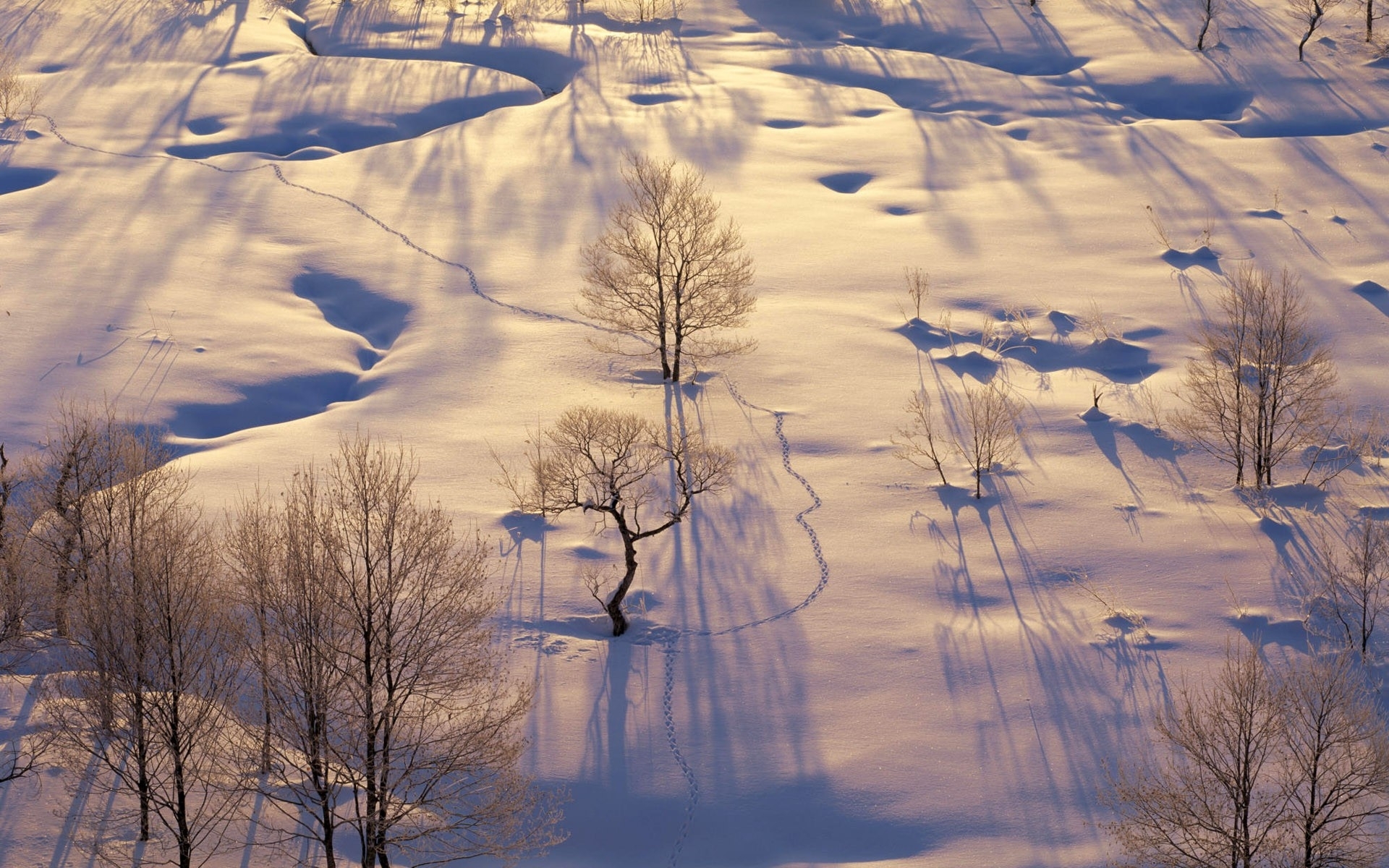Laden Sie das Winter, Schnee, Sonnenaufgang, Frost, Erde/natur-Bild kostenlos auf Ihren PC-Desktop herunter