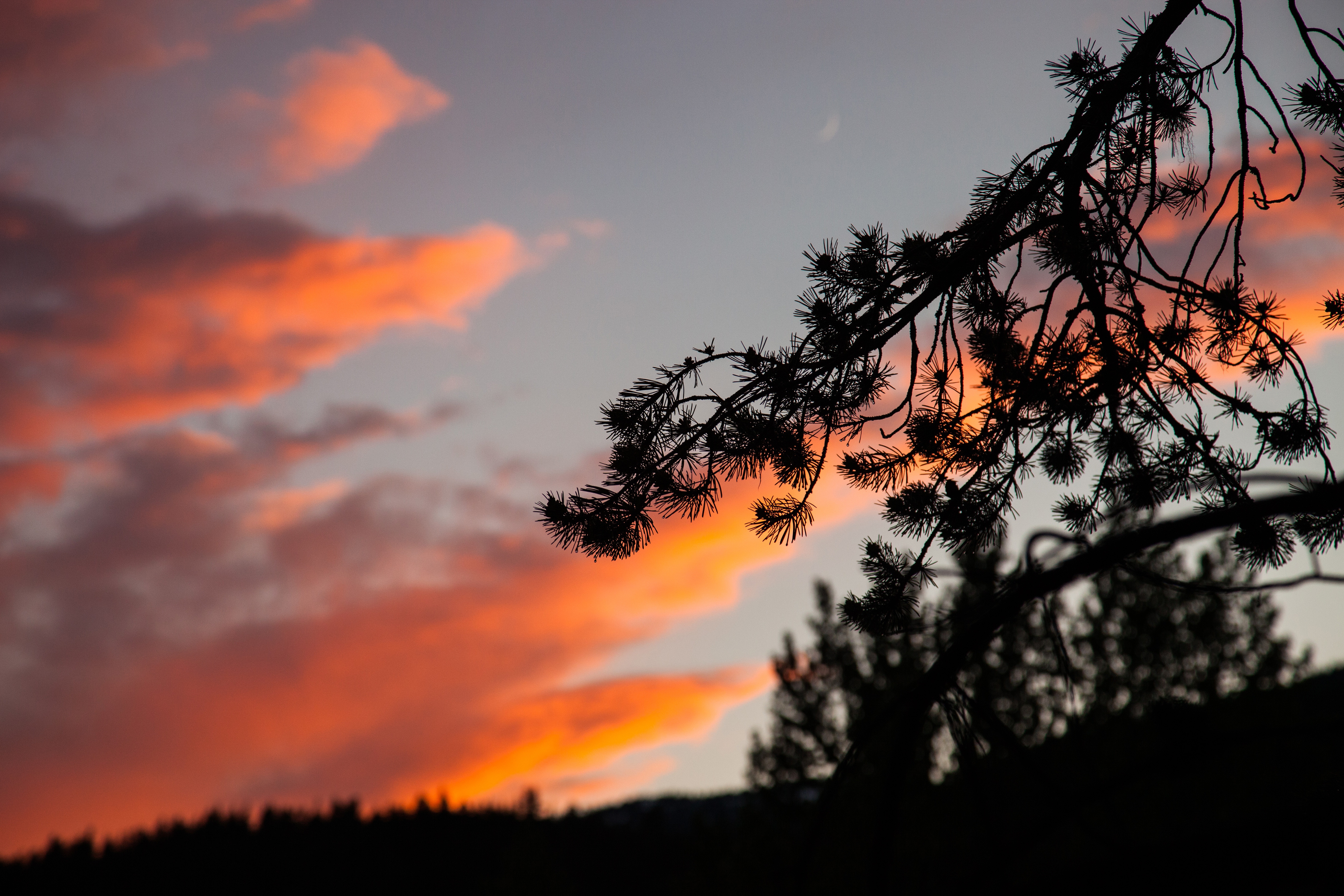 Free download wallpaper Nature, Sky, Outlines, Ochertinia, Sunset, Branch, Night on your PC desktop