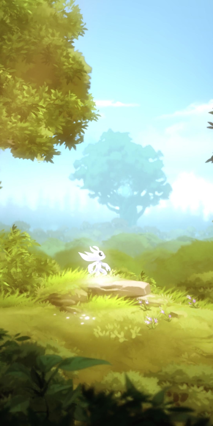 Ori And The Blind Forest  Free Stock Photos