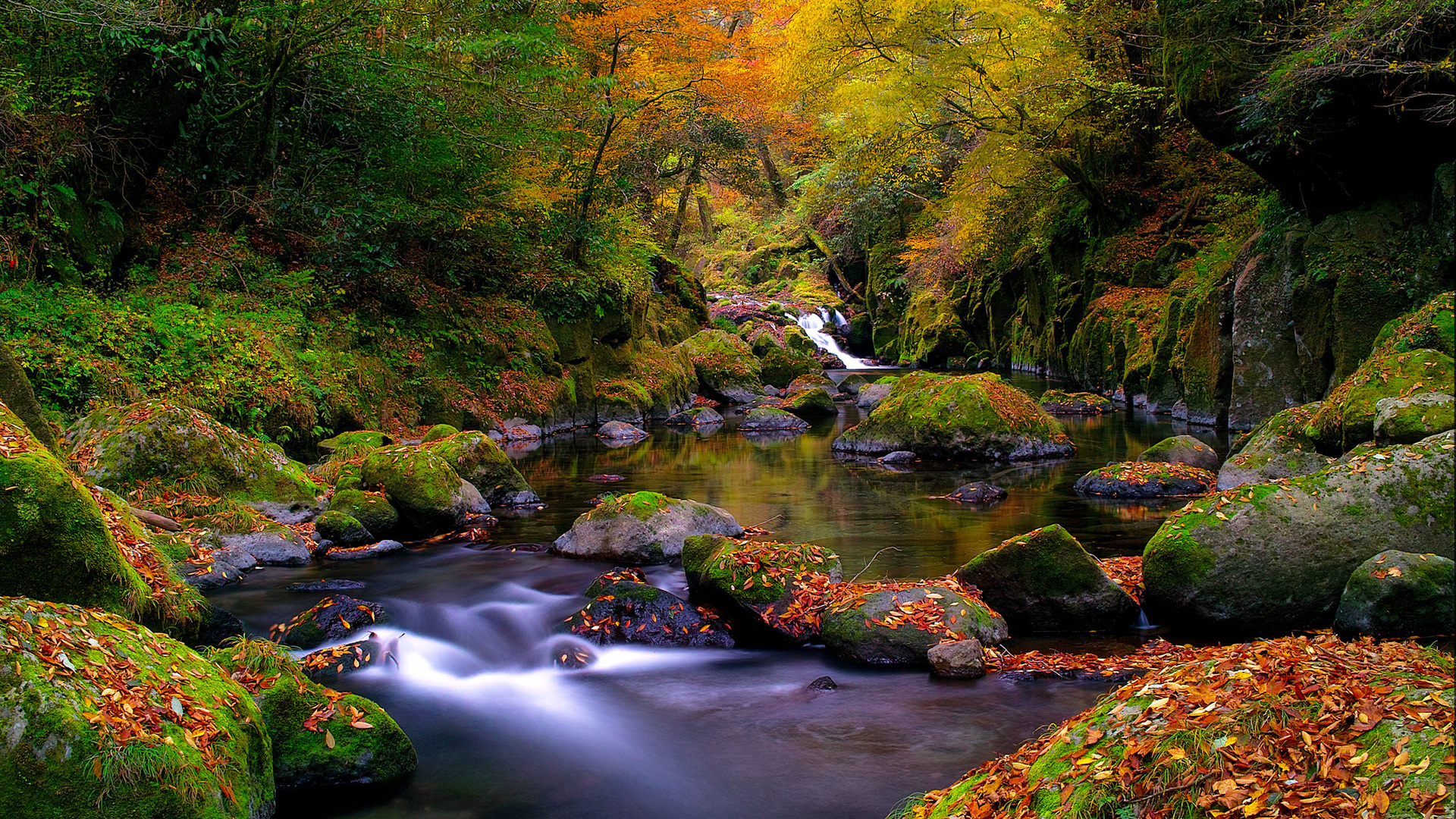 Laden Sie das Szene, Erde/natur-Bild kostenlos auf Ihren PC-Desktop herunter