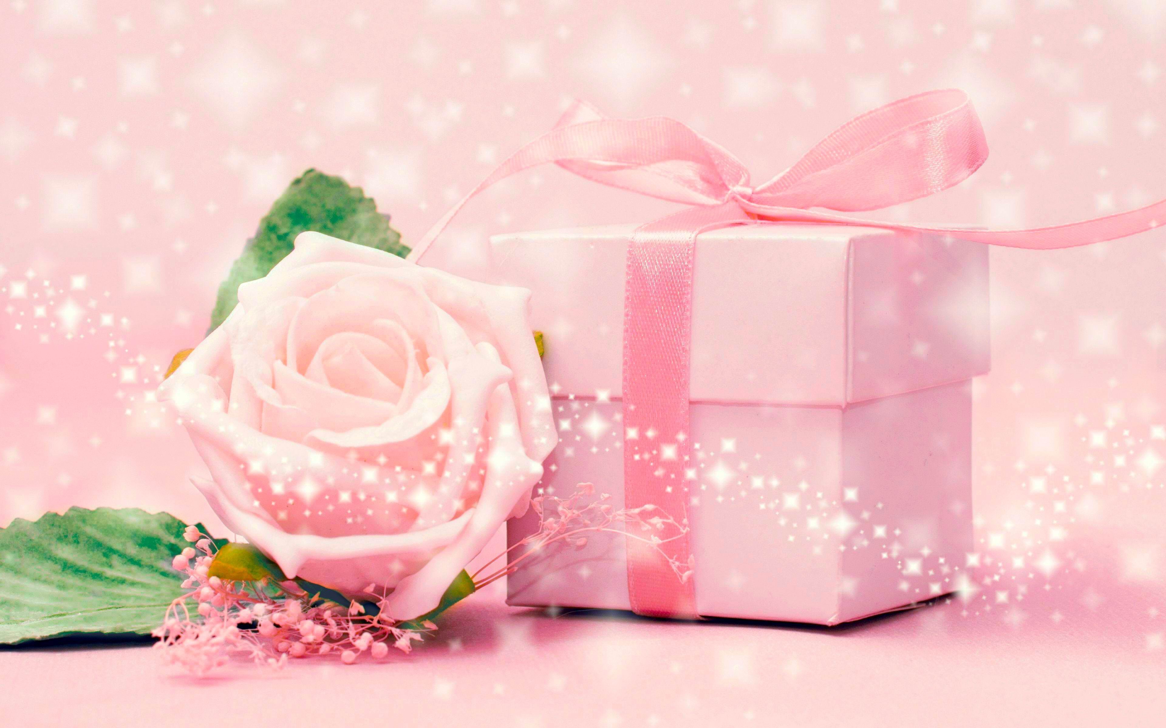 無料モバイル壁紙自然, ピンク, 花, その他, 贈り物をダウンロードします。