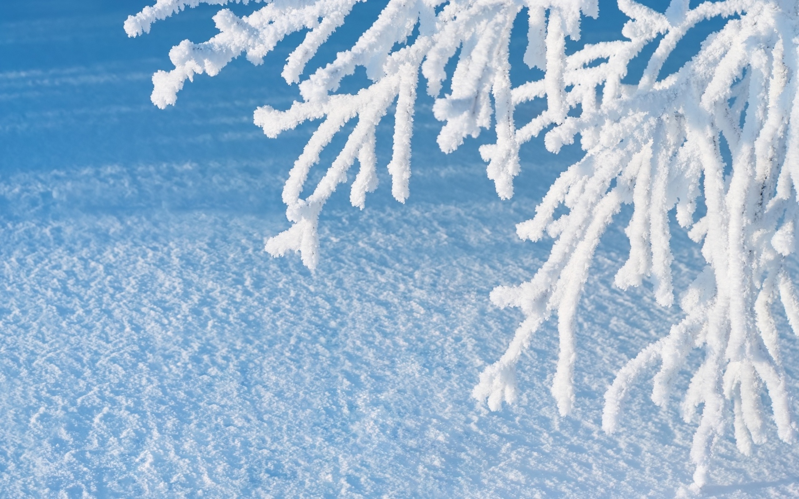 Téléchargez gratuitement l'image Hiver, Terre/nature sur le bureau de votre PC