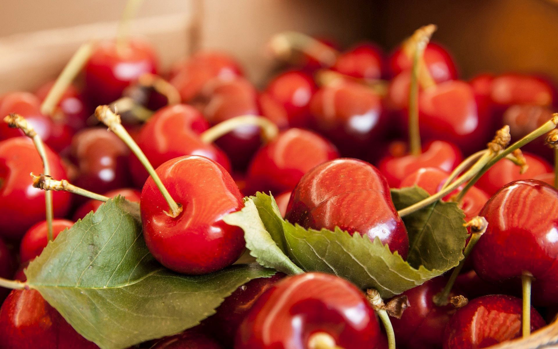 Free download wallpaper Nature, Fruits, Food, Cherry, Fruit on your PC desktop