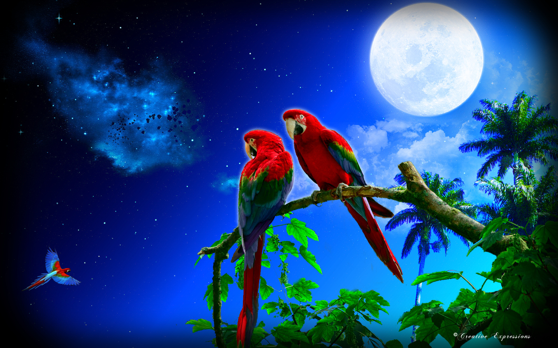 Download mobile wallpaper Fantasy, Night, Moon, Tree, Artistic, Tropical, Parrot for free.