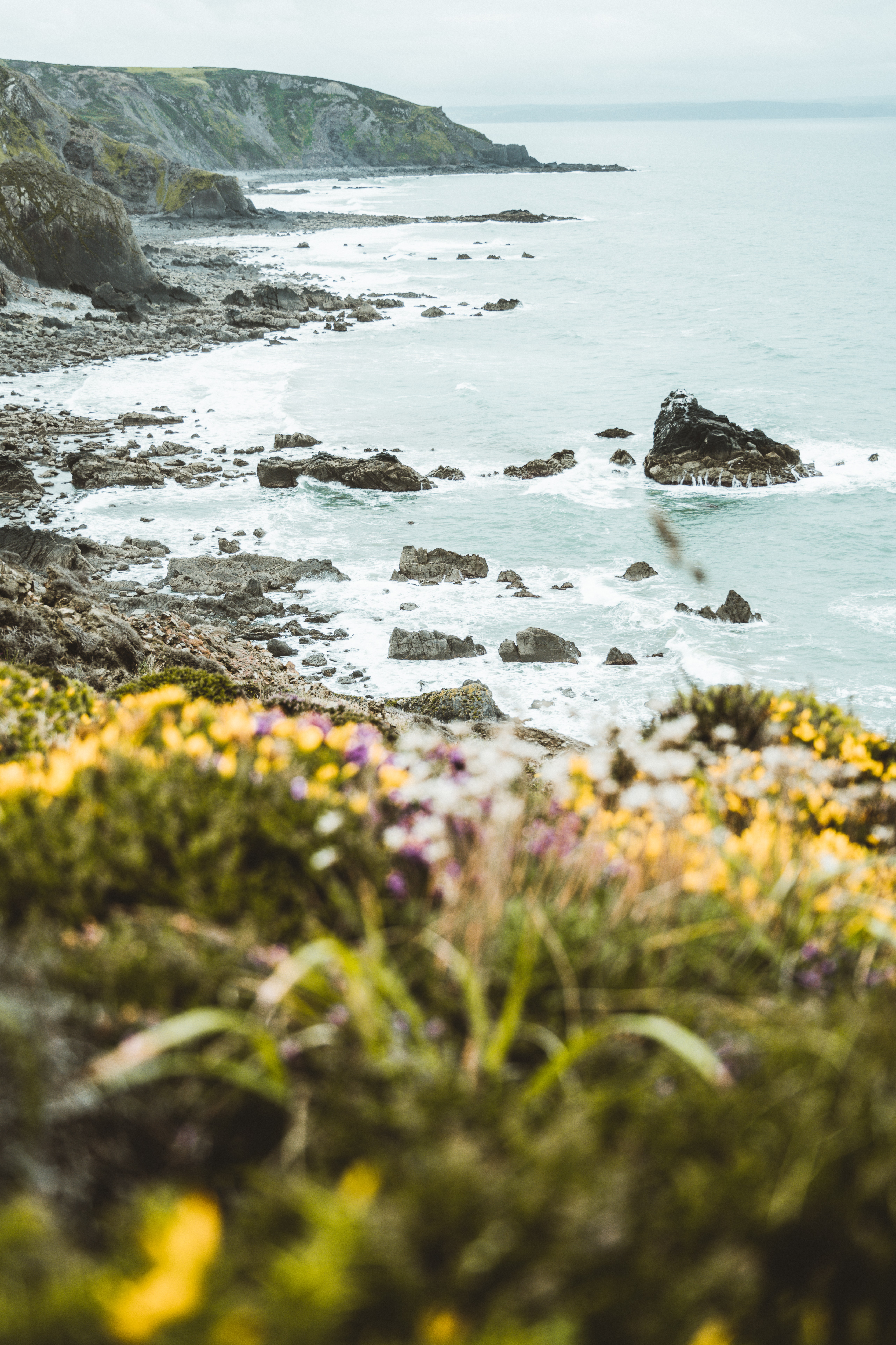 Free download wallpaper Flowers, Sea, Rocks, Coast, Nature, Cliff on your PC desktop