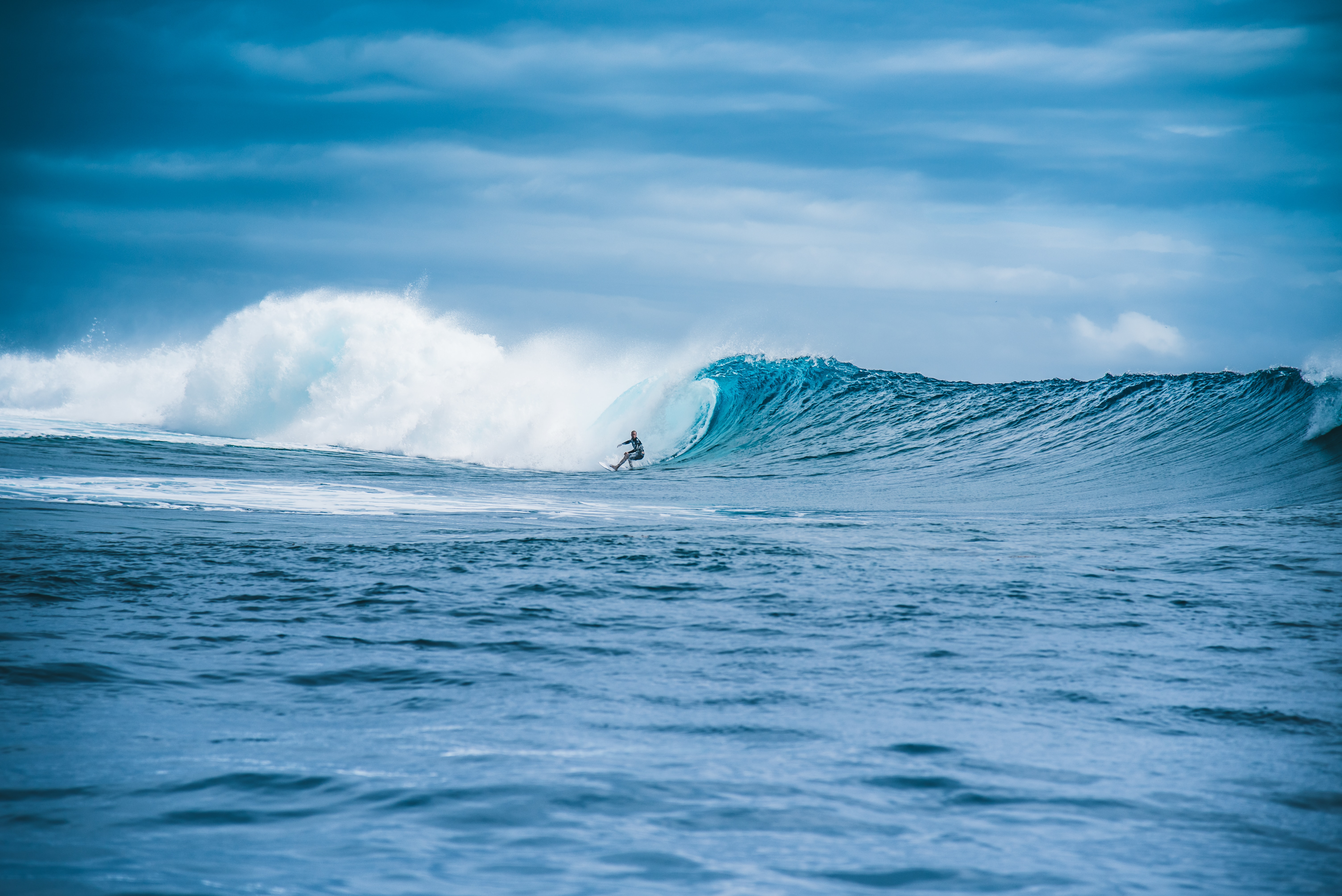 serfing, sports, water, ocean, wave, surfer Free Stock Photo
