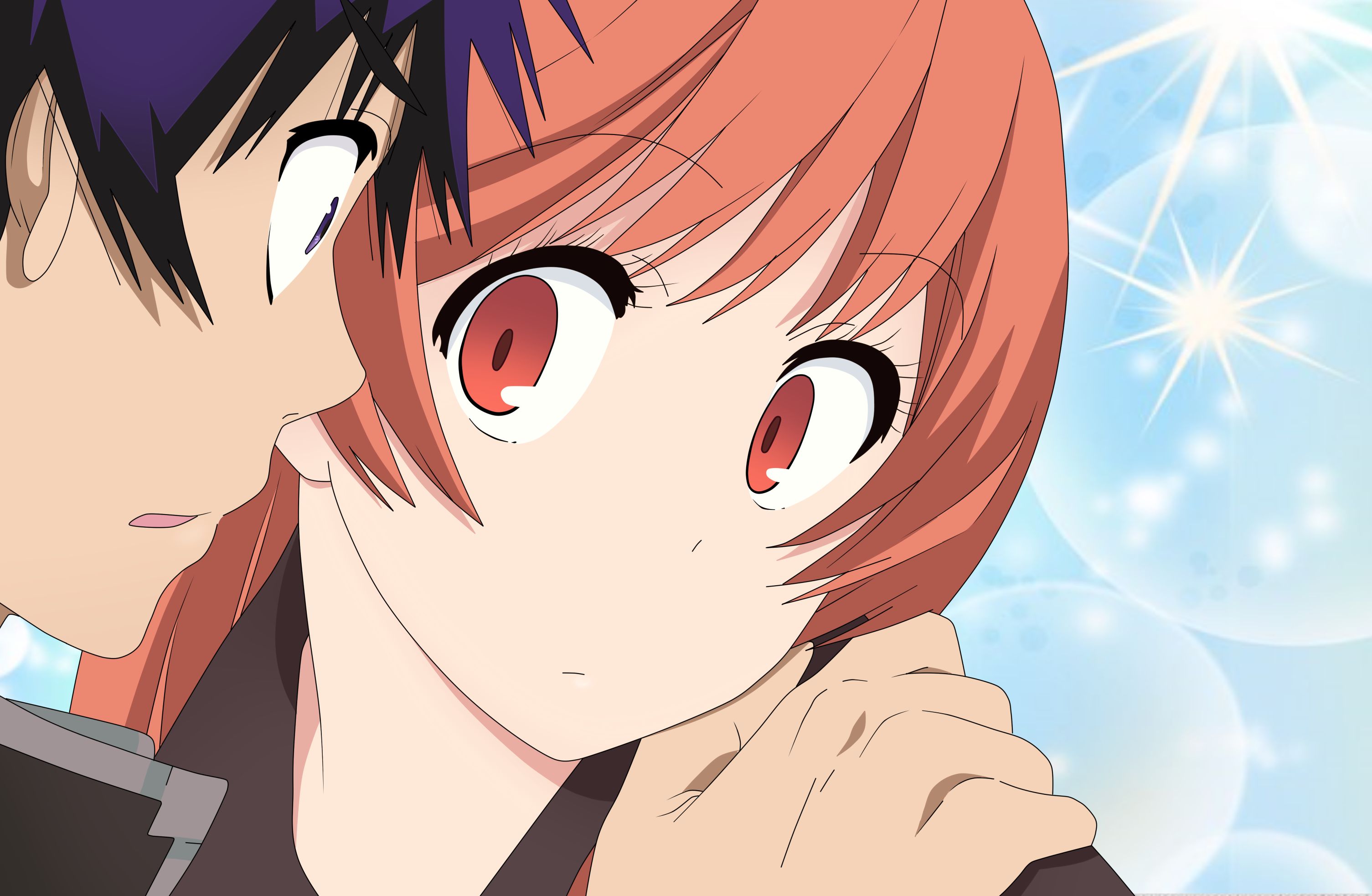 Laden Sie das Animes, Marika Tachibana, Raku Ichijō, Nisekoi-Bild kostenlos auf Ihren PC-Desktop herunter