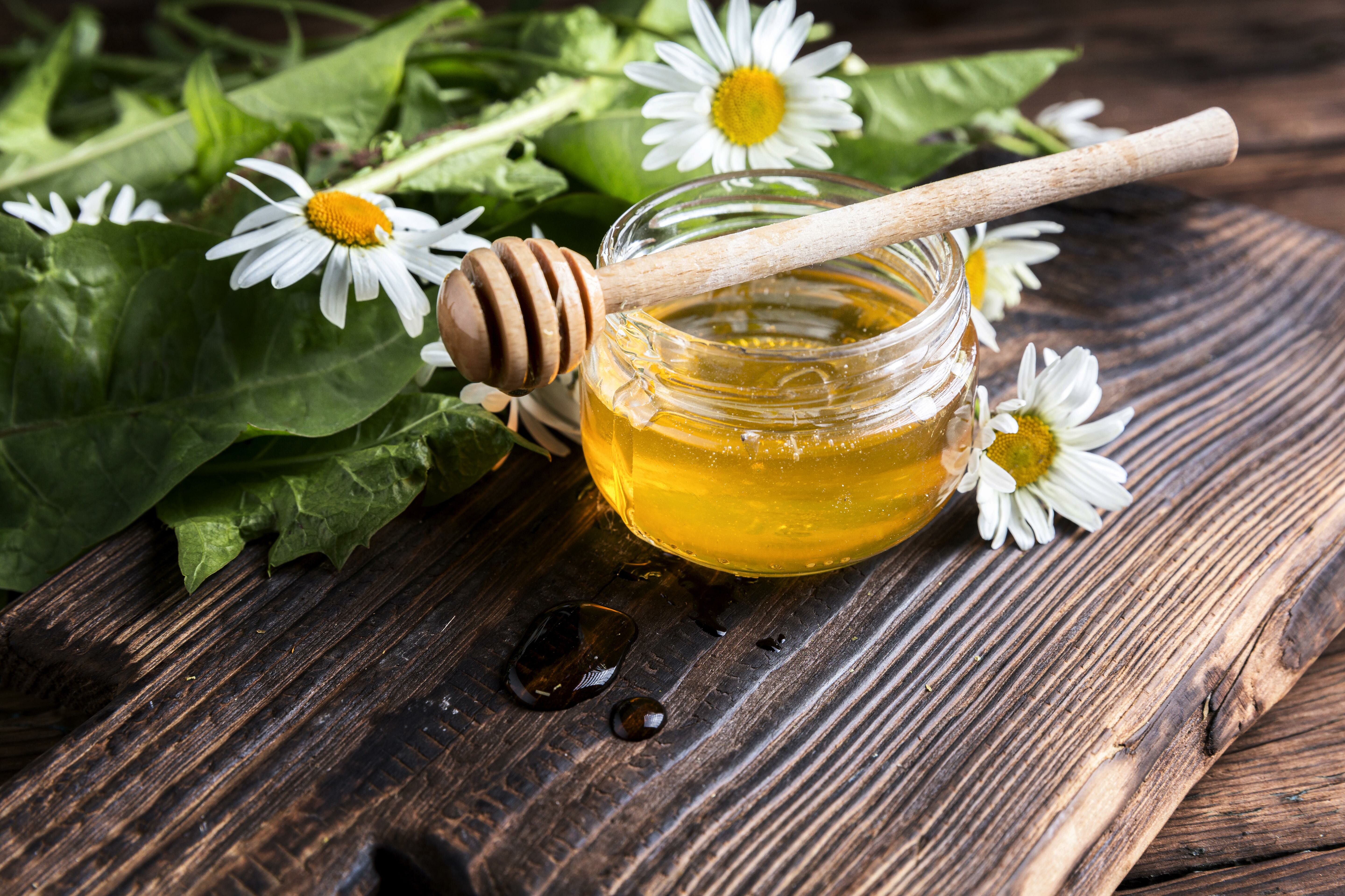 Download mobile wallpaper Food, Still Life, Chamomile, Honey for free.