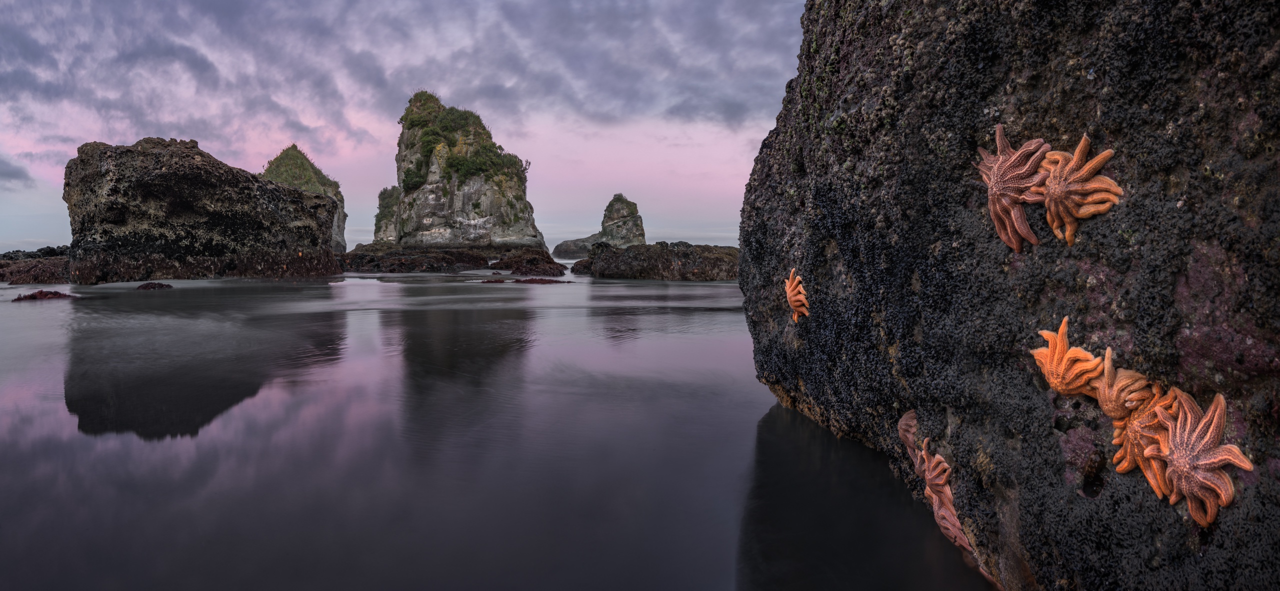 Laden Sie das Neuseeland, Ozean, Seestern, Erde/natur-Bild kostenlos auf Ihren PC-Desktop herunter