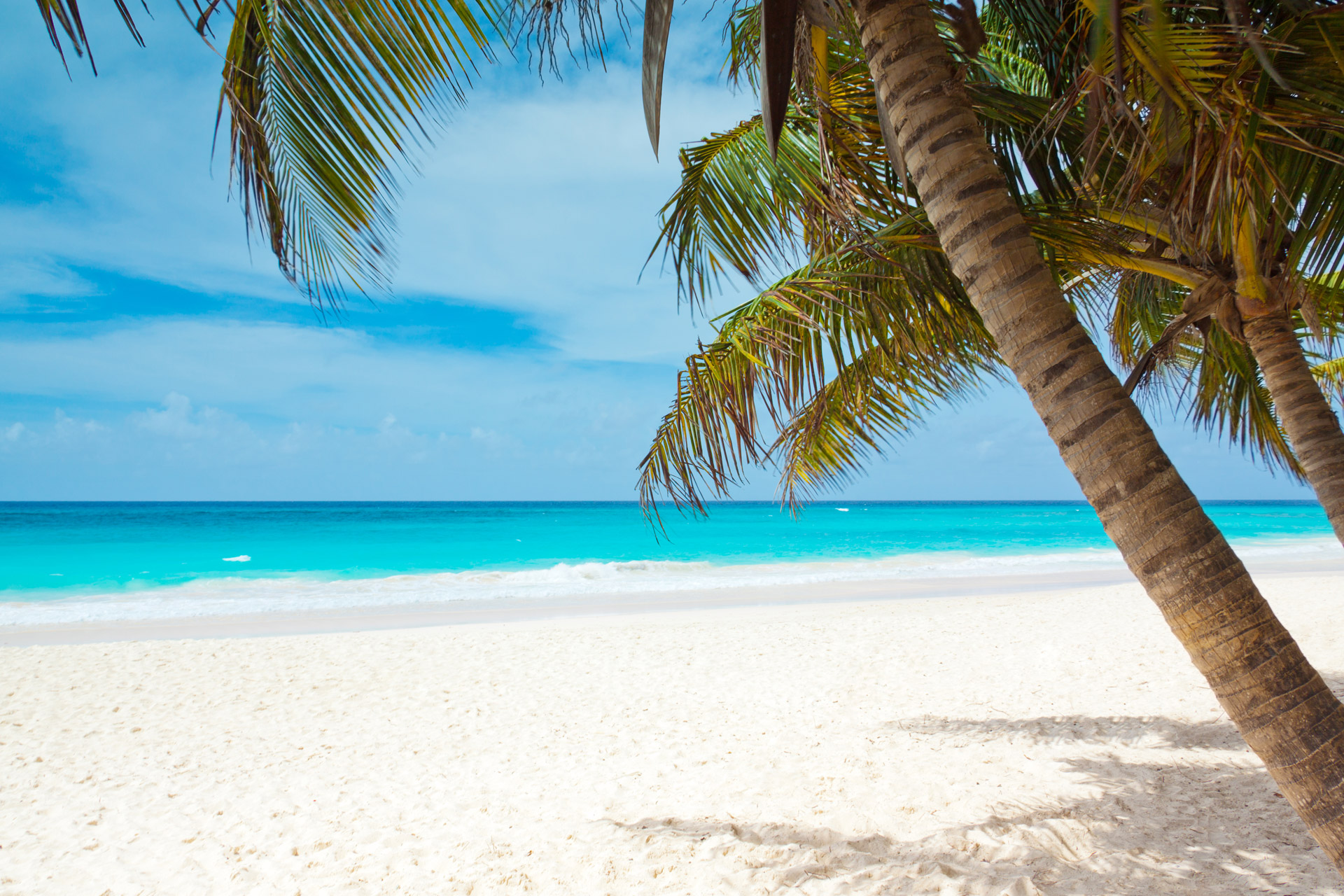 Free download wallpaper Beach, Horizon, Earth, Tropical, Palm Tree on your PC desktop