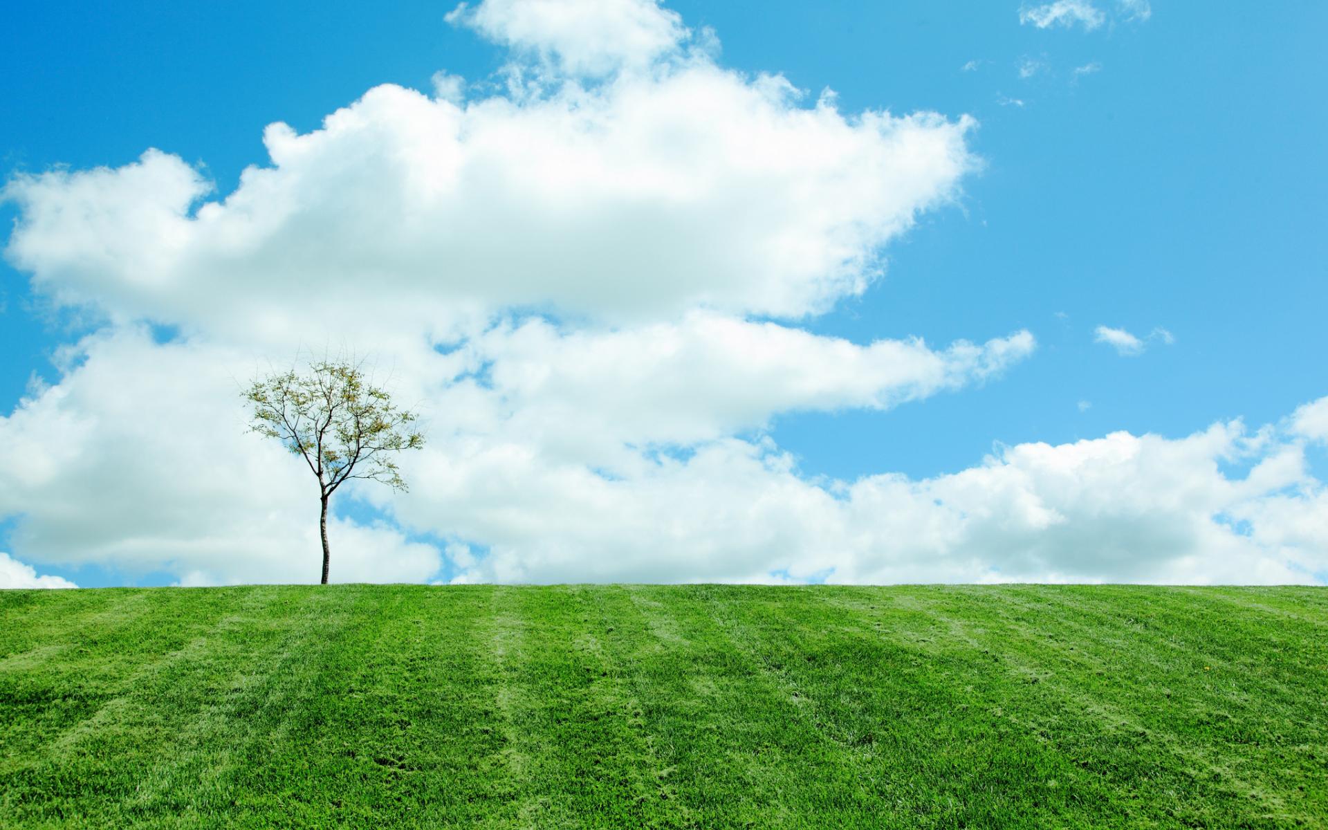 Handy-Wallpaper Landschaft, Erde/natur kostenlos herunterladen.