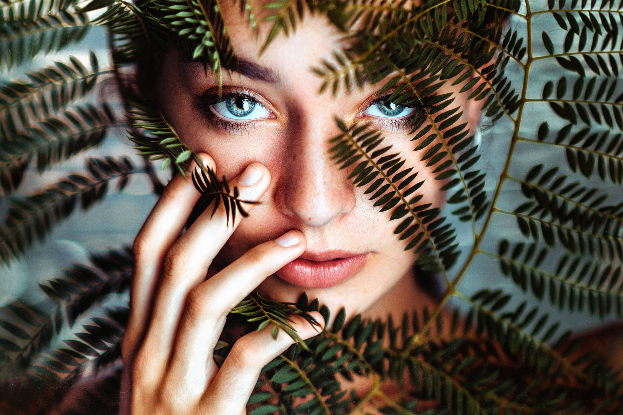 Free download wallpaper Fern, Face, Women, Blue Eyes on your PC desktop