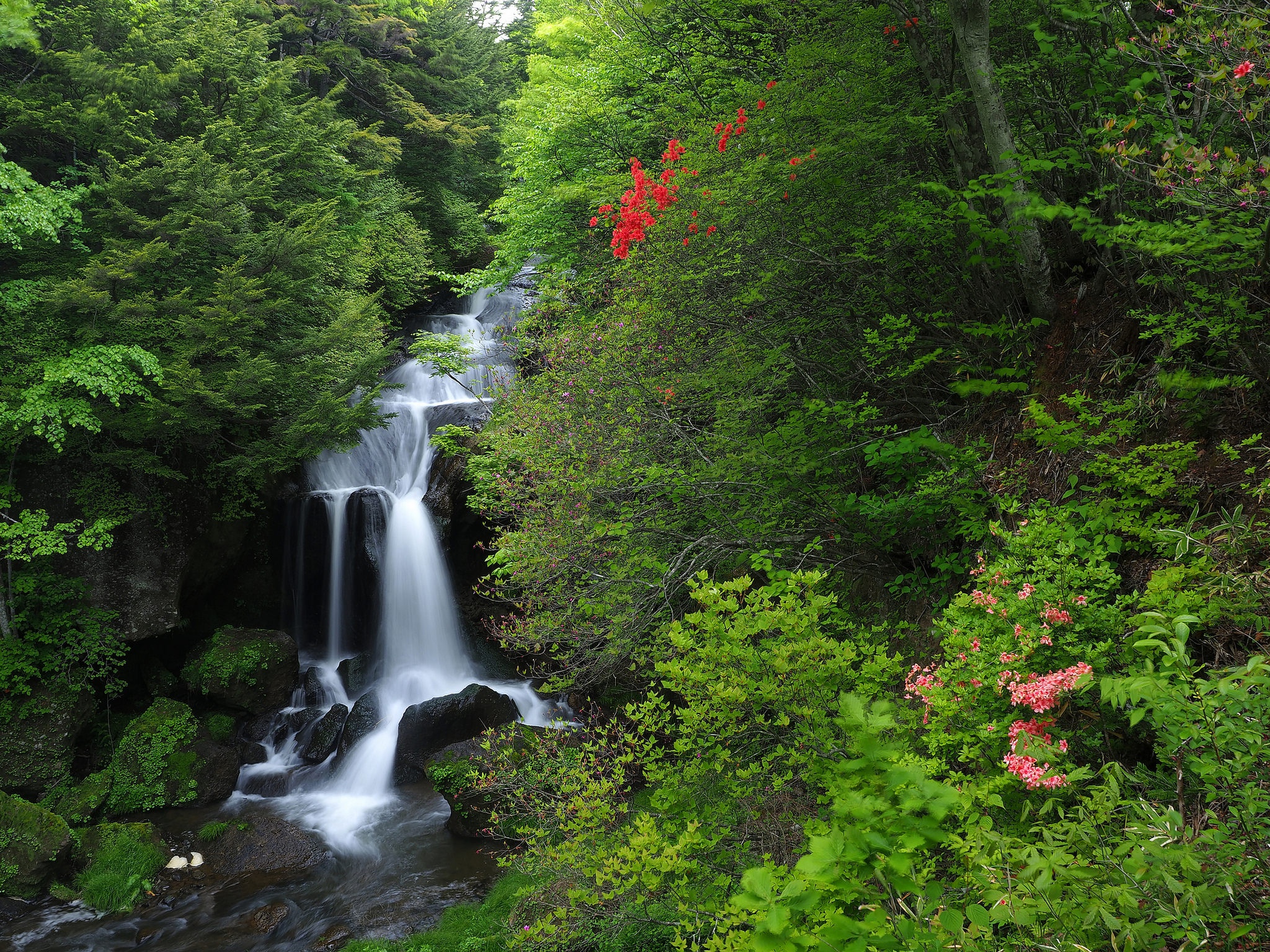 Handy-Wallpaper Natur, Wasserfälle, Wasserfall, Strom, Erde/natur kostenlos herunterladen.