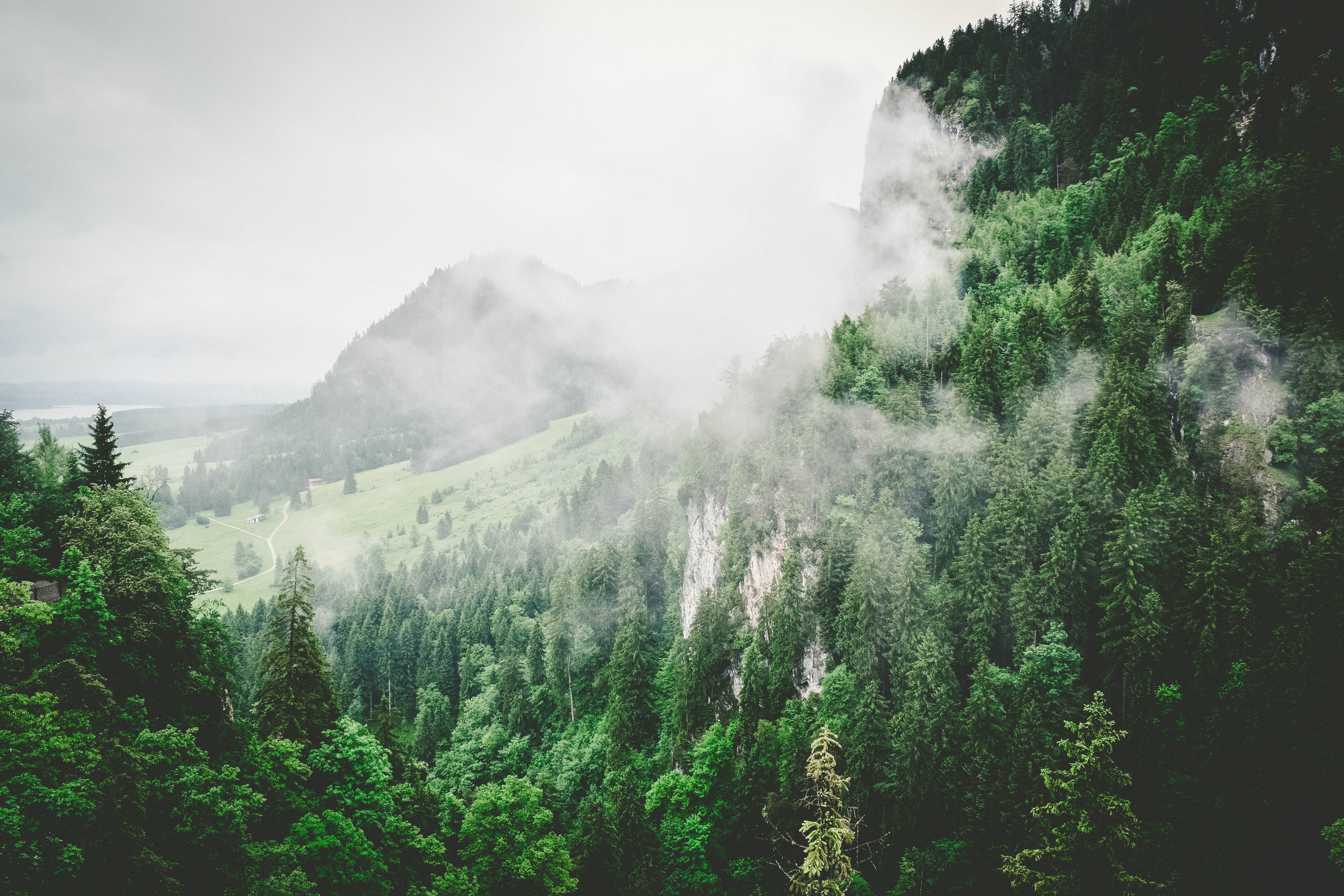 Download mobile wallpaper Nature, Trees, Mountains, Fog, Summer for free.