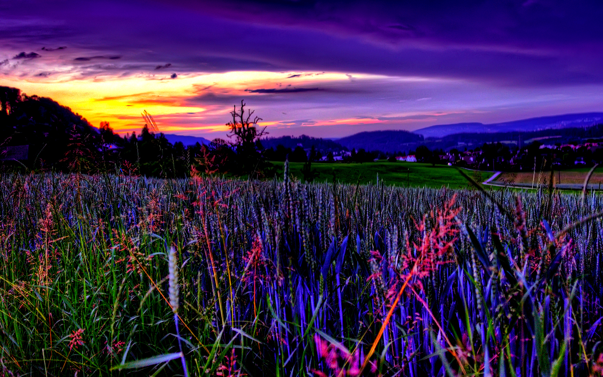 Free download wallpaper Landscape, Mountain, Earth, Field, Hdr on your PC desktop