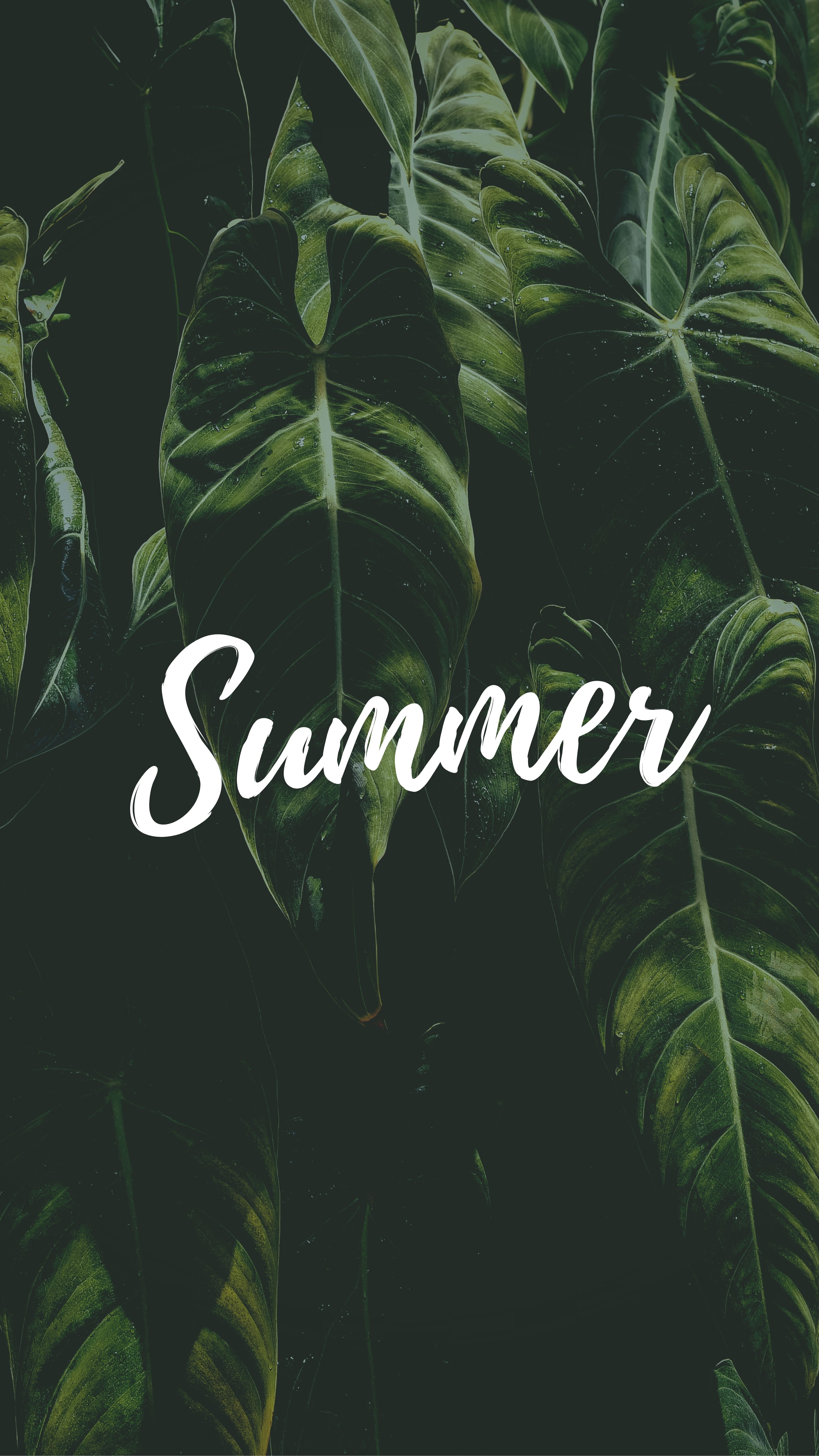 Download mobile wallpaper Text, Summer, Leaves, Inscription, Word, Words for free.