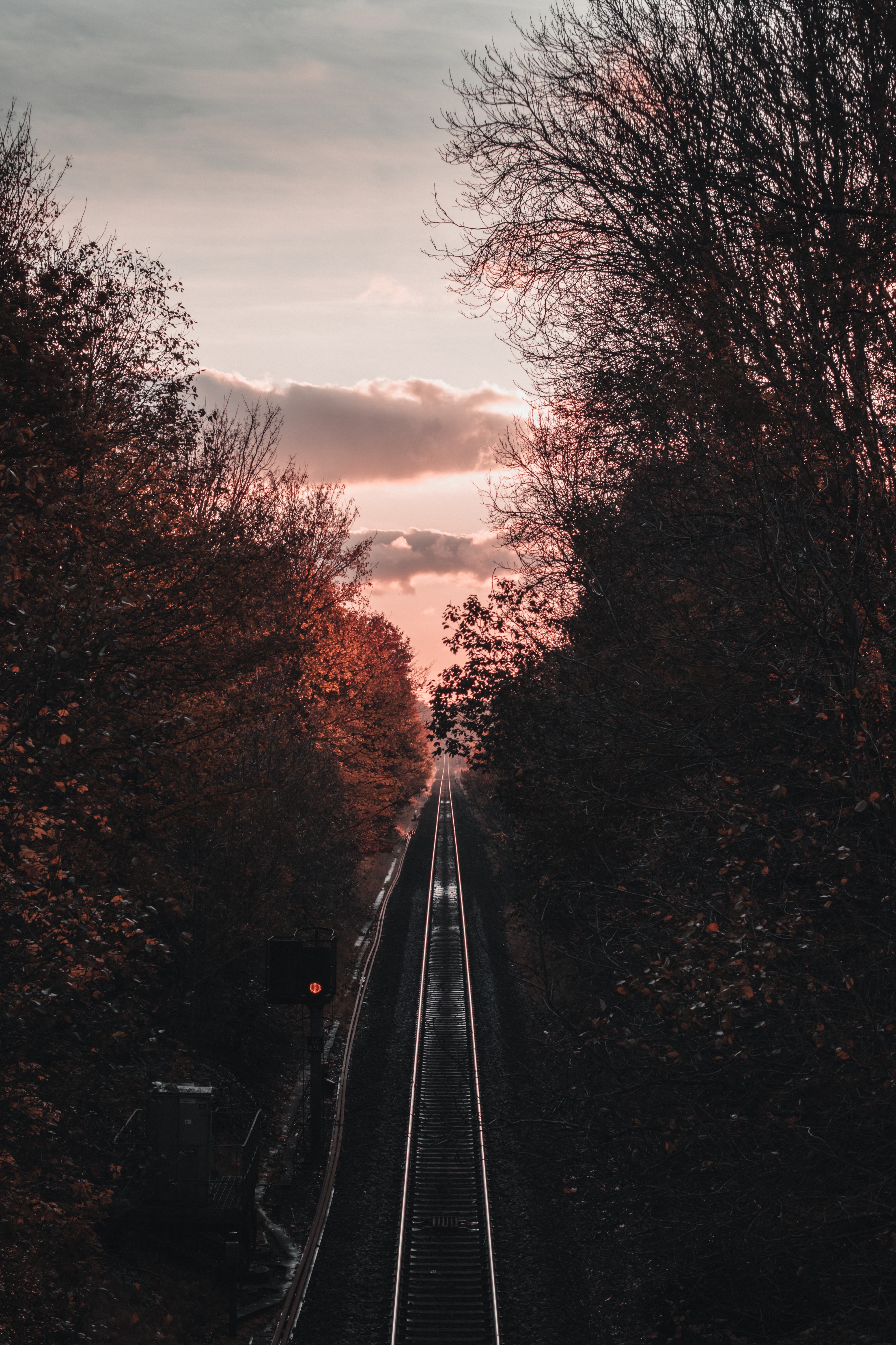 trees, twilight, view from above, dark, dusk, railway, rails