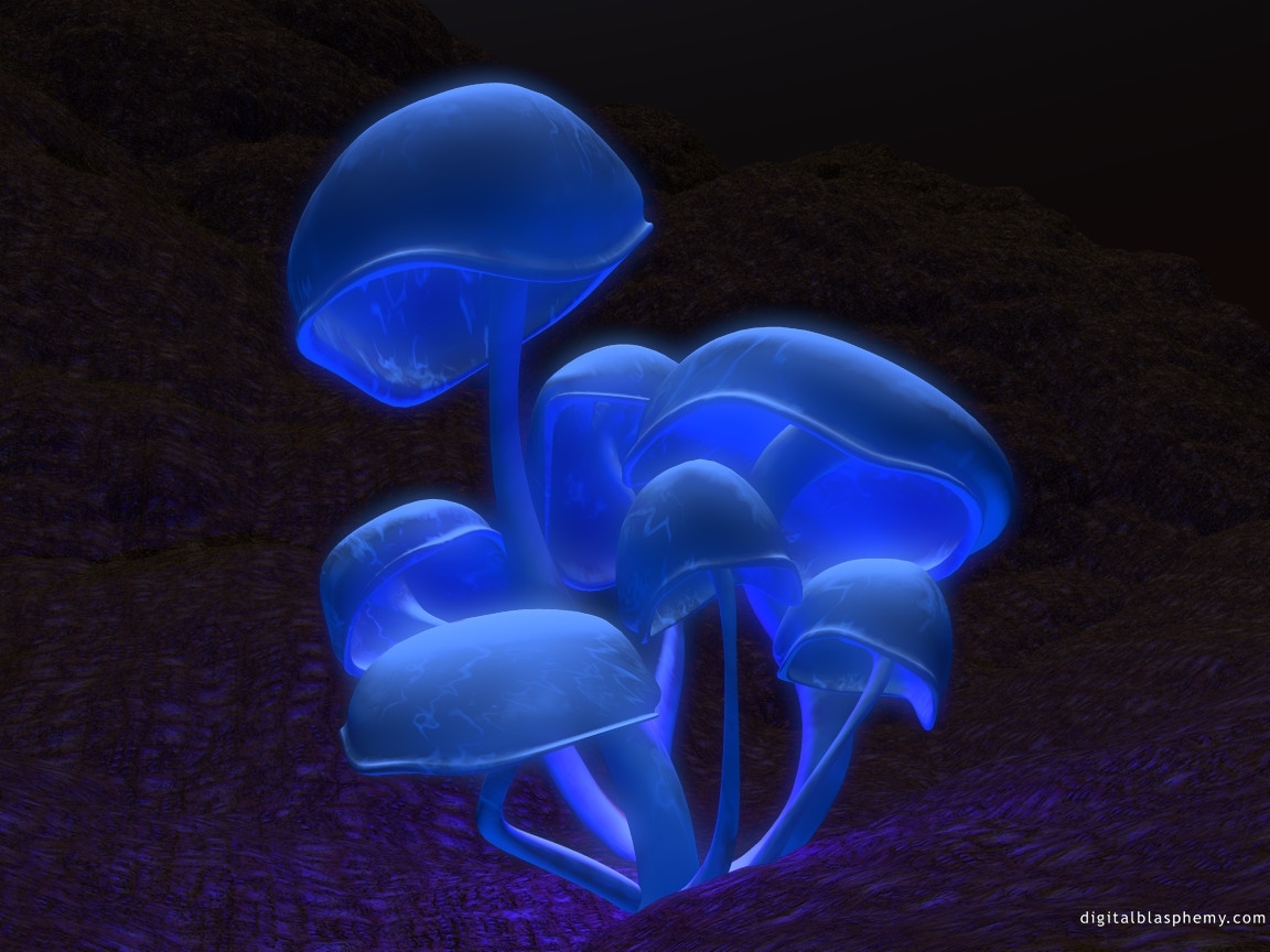 plants, art, mashrooms, blue 32K