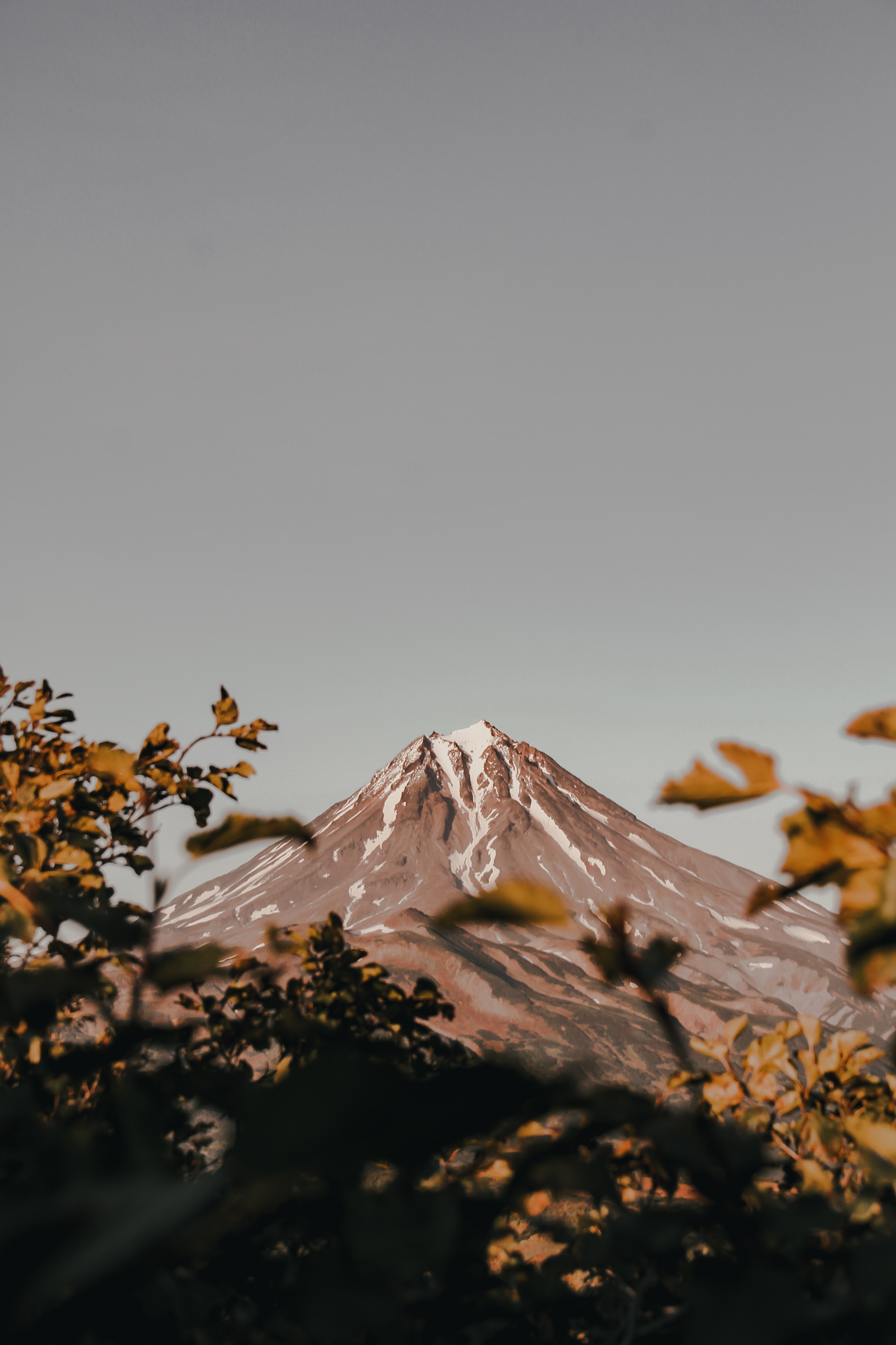 Descarga gratis la imagen Arbusto, Montaña, Arriba, Sucursales, Naturaleza, Vértice, Ramas, Volcán en el escritorio de tu PC