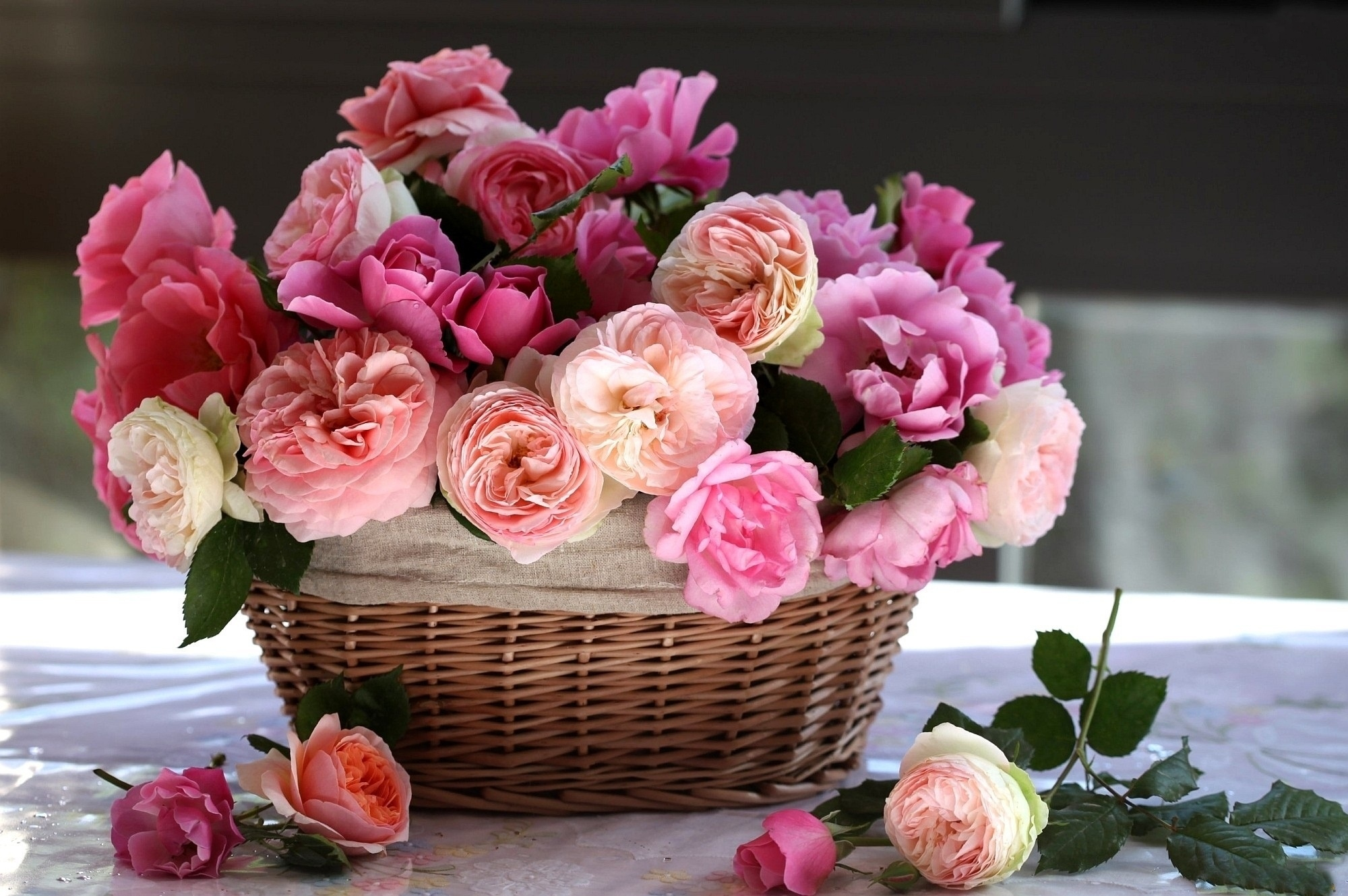 man made, flower, basket, peony, pink flower, rose Desktop home screen Wallpaper
