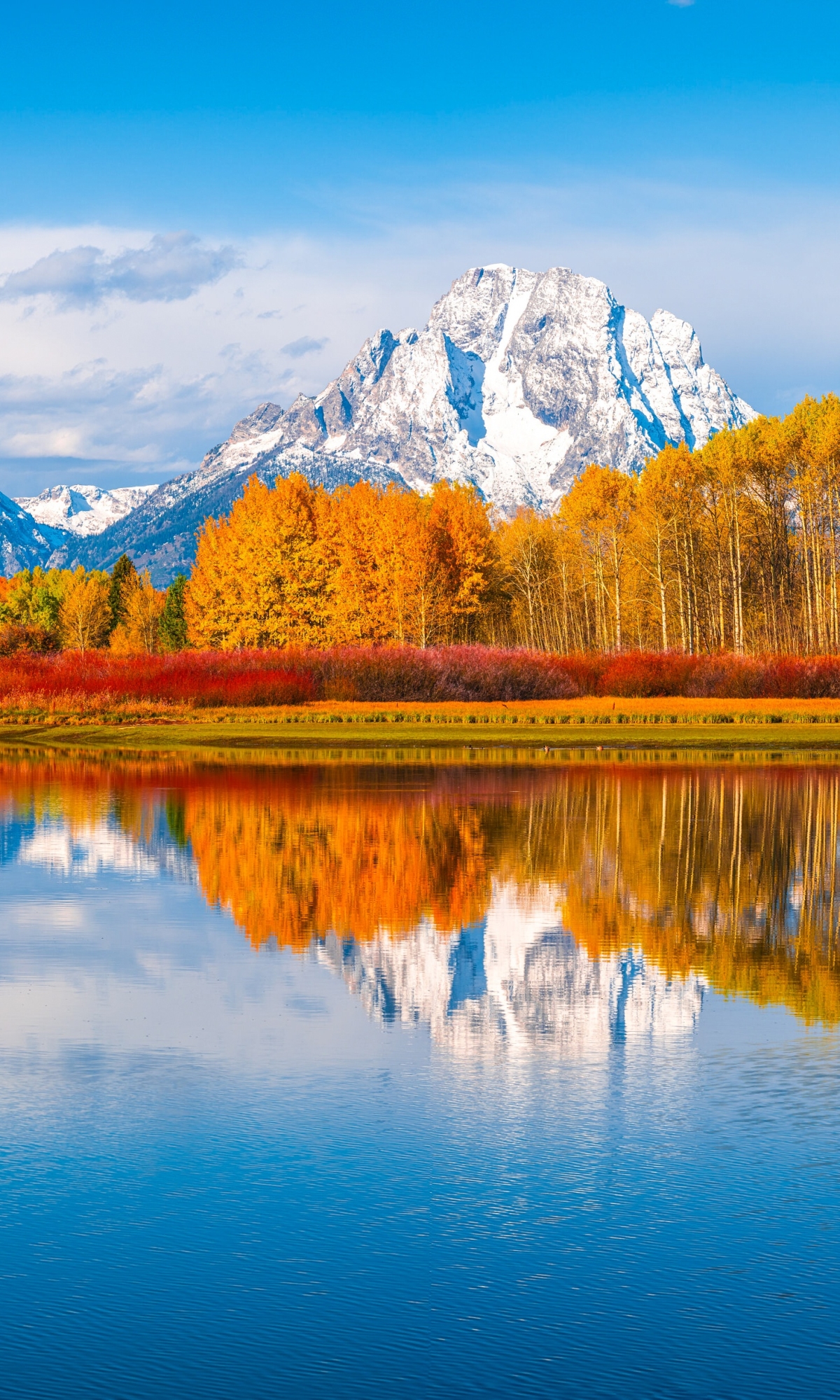 Download mobile wallpaper Reflection, Earth, National Park, Grand Teton National Park for free.