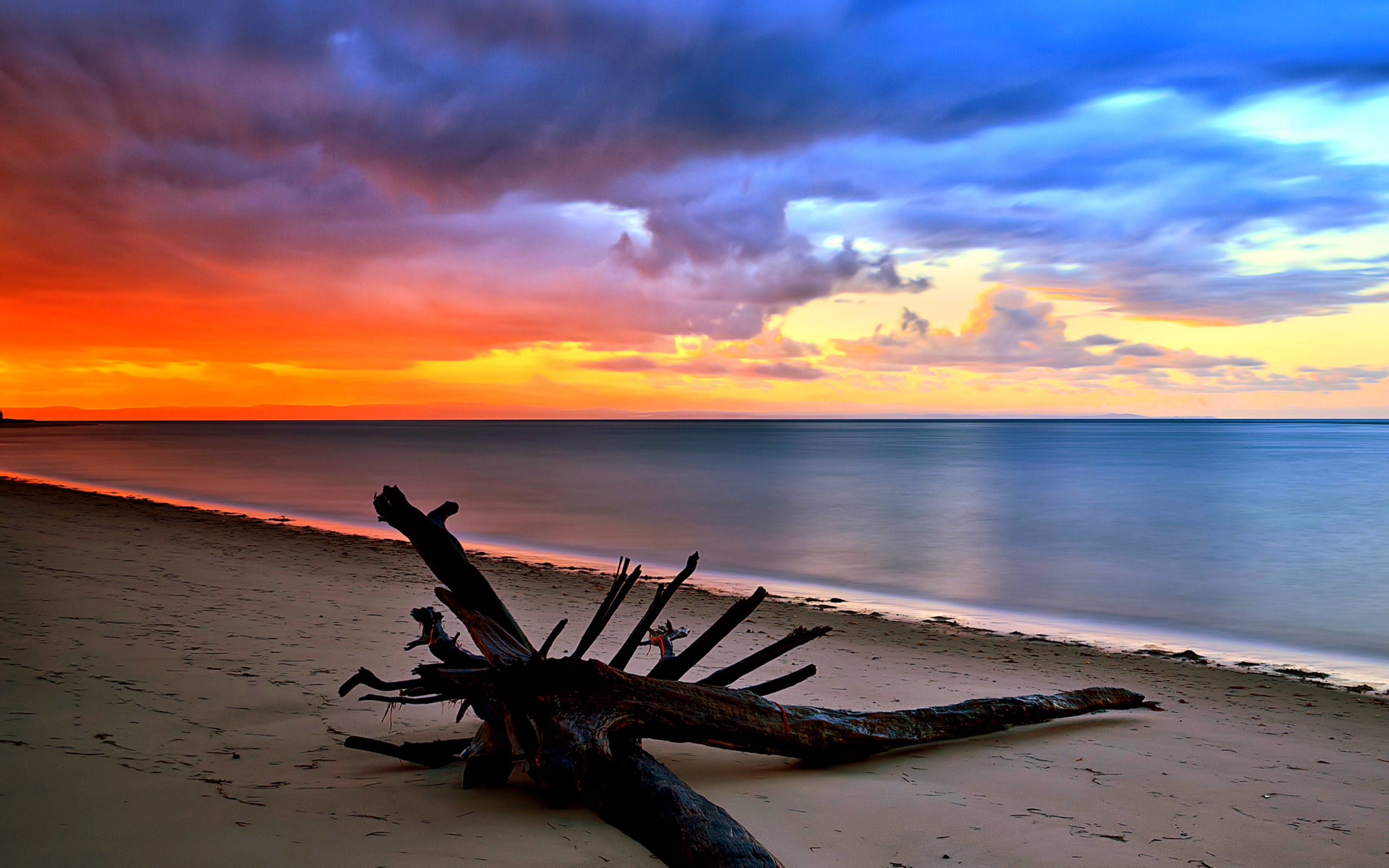 Download mobile wallpaper Sunset, Sea, Beach, Horizon, Ocean, Earth, Driftwood for free.