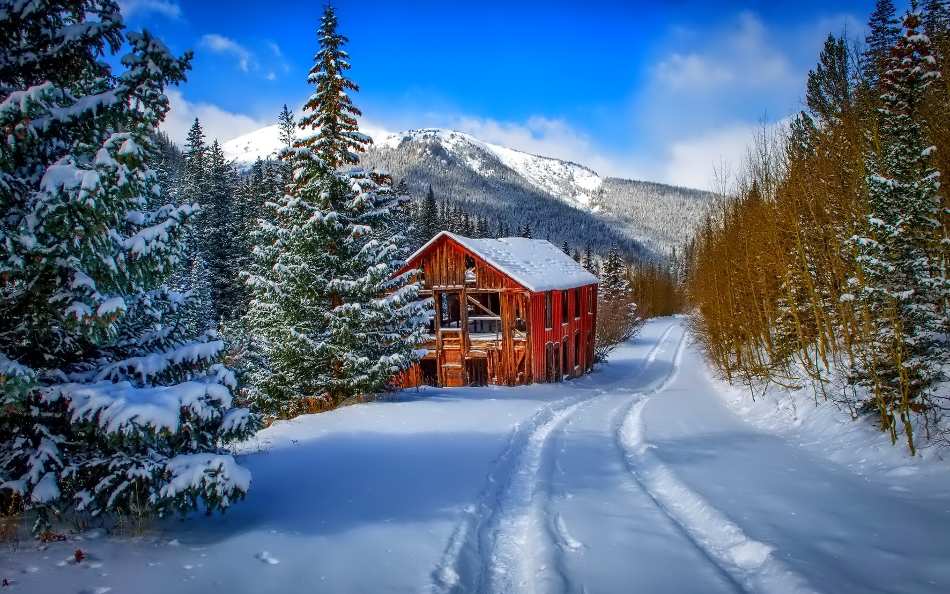 Download mobile wallpaper Winter, Snow, Tree, Earth, Photography, Cabin for free.