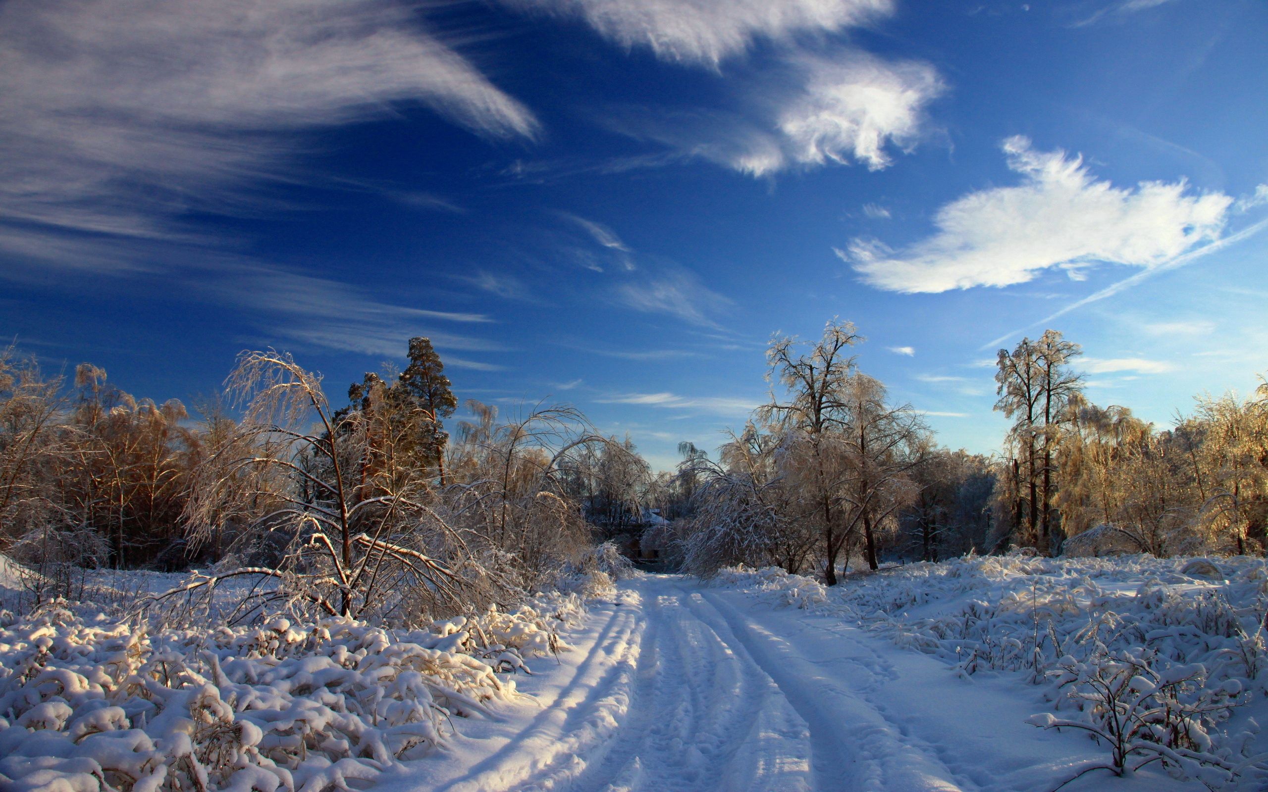 winter, nature, trees, sky, clouds, snow, bush, road, drifts, traces, clear