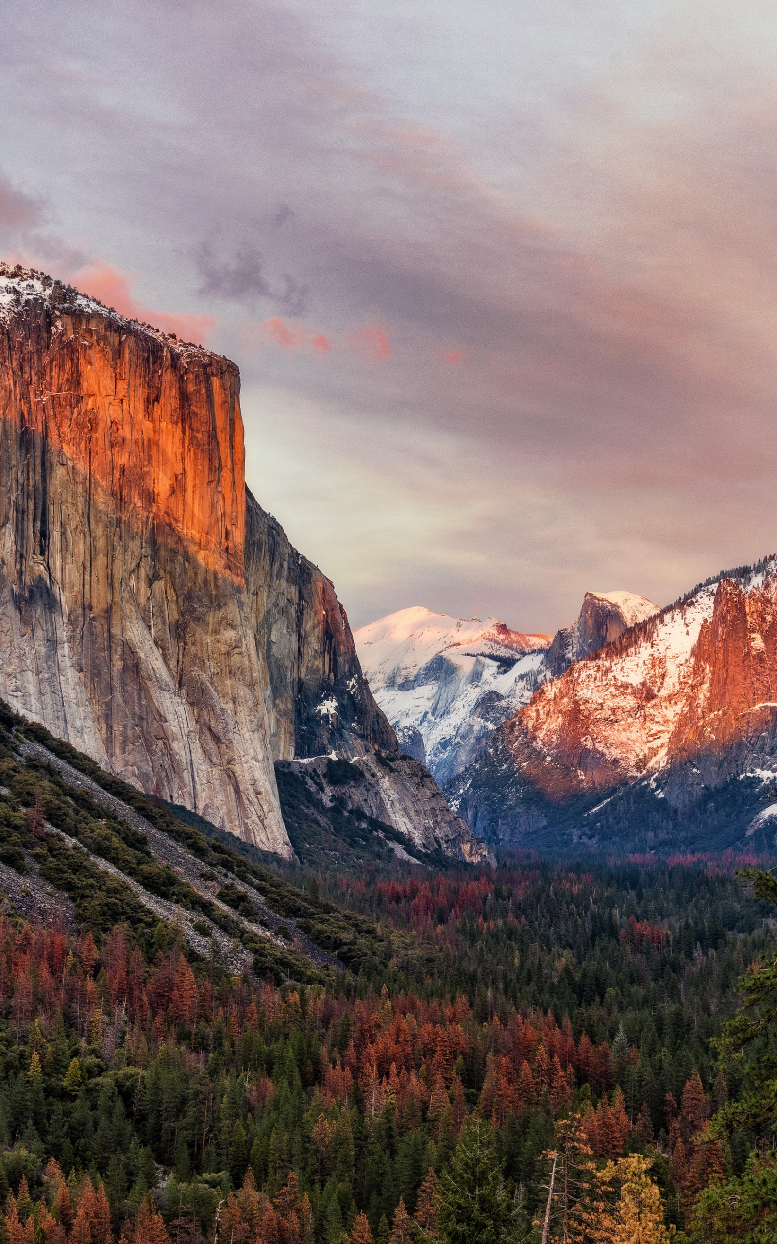 Descarga gratuita de fondo de pantalla para móvil de Naturaleza, Montaña, Bosque, Acantilado, Parque Nacional, Parque Nacional De Yosemite, Tierra/naturaleza.