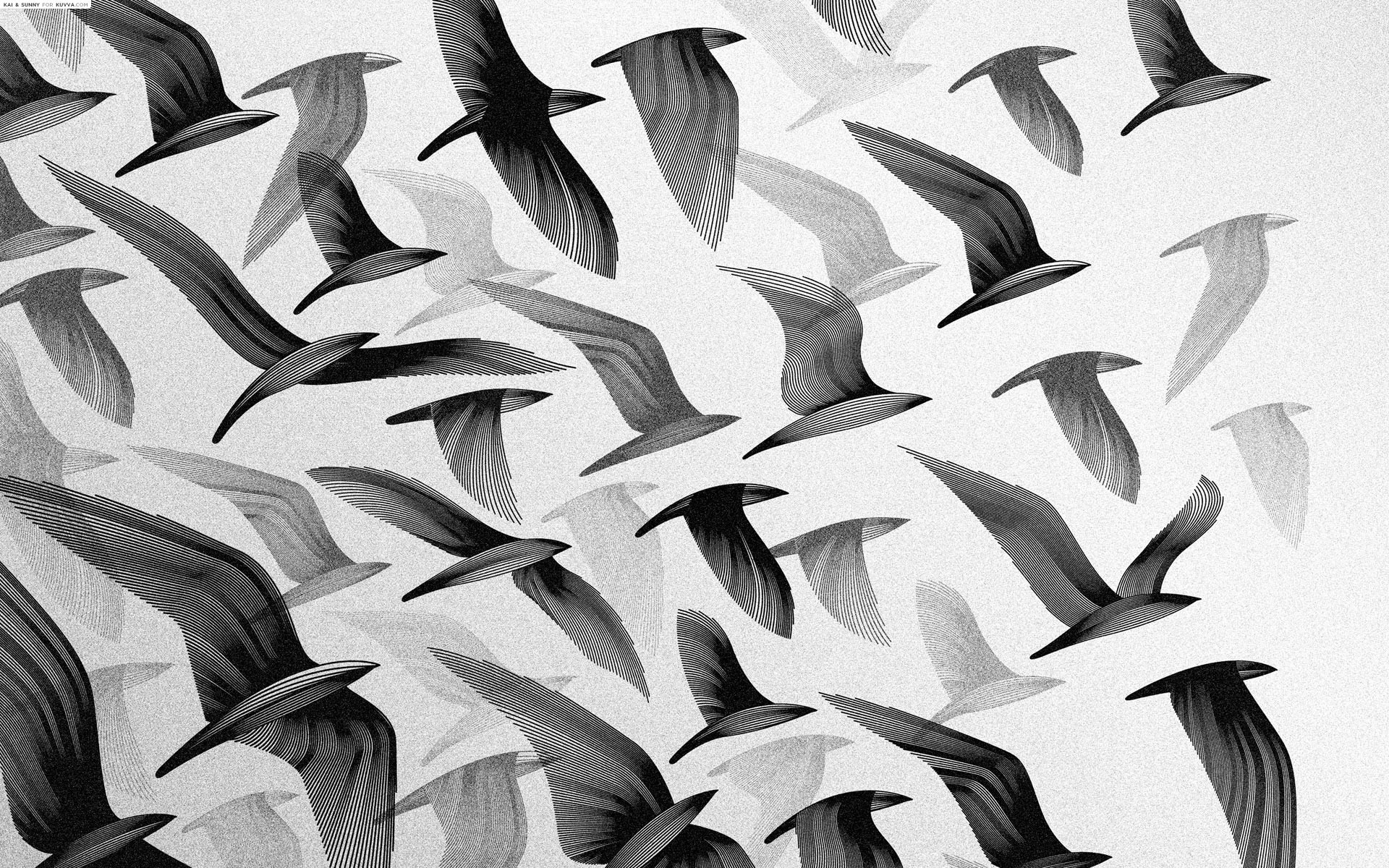Free download wallpaper Bird, Artistic, Psychedelic on your PC desktop