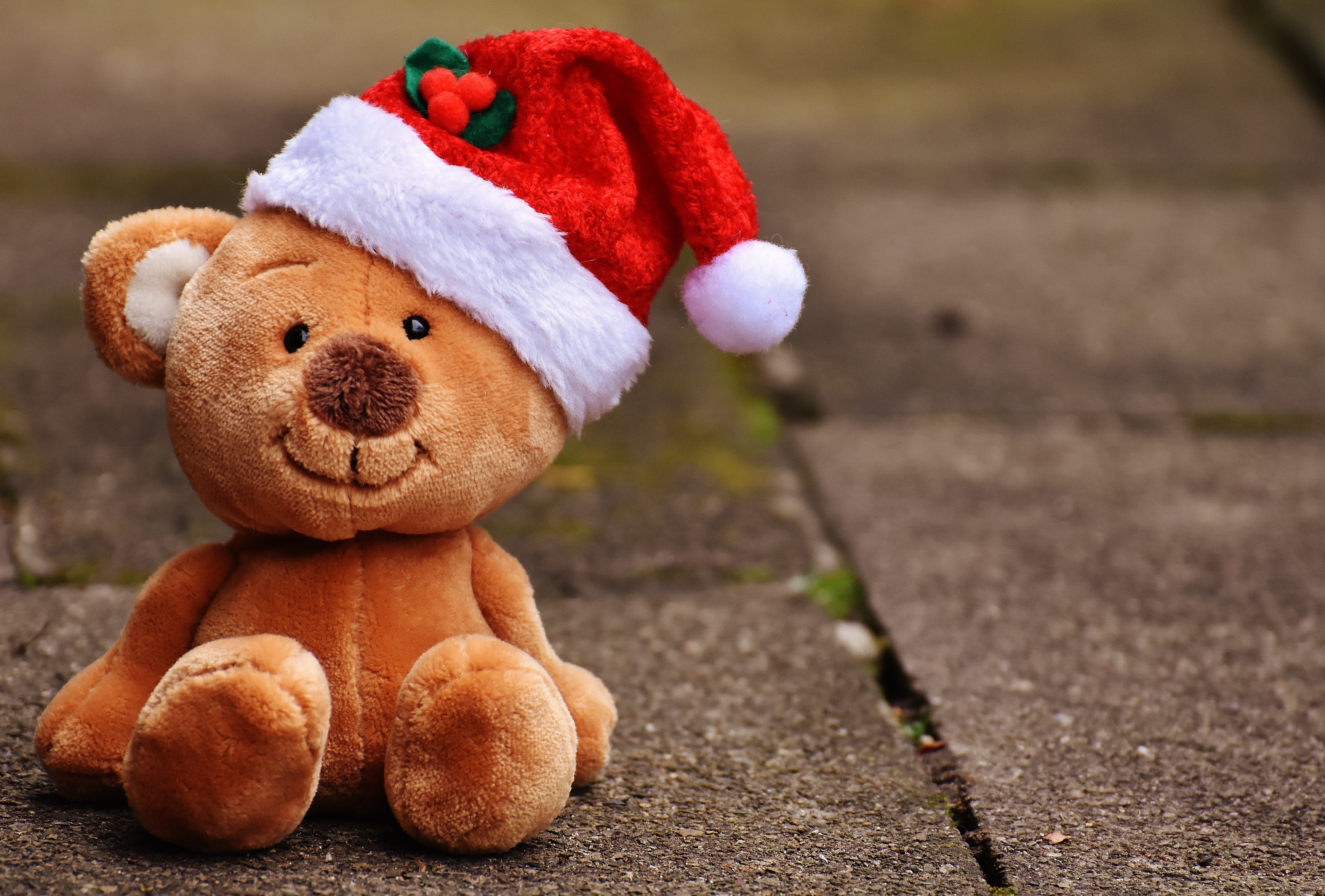 Handy-Wallpaper Teddybär, Menschengemacht, Weihnachtsmütze, Kuscheltier kostenlos herunterladen.