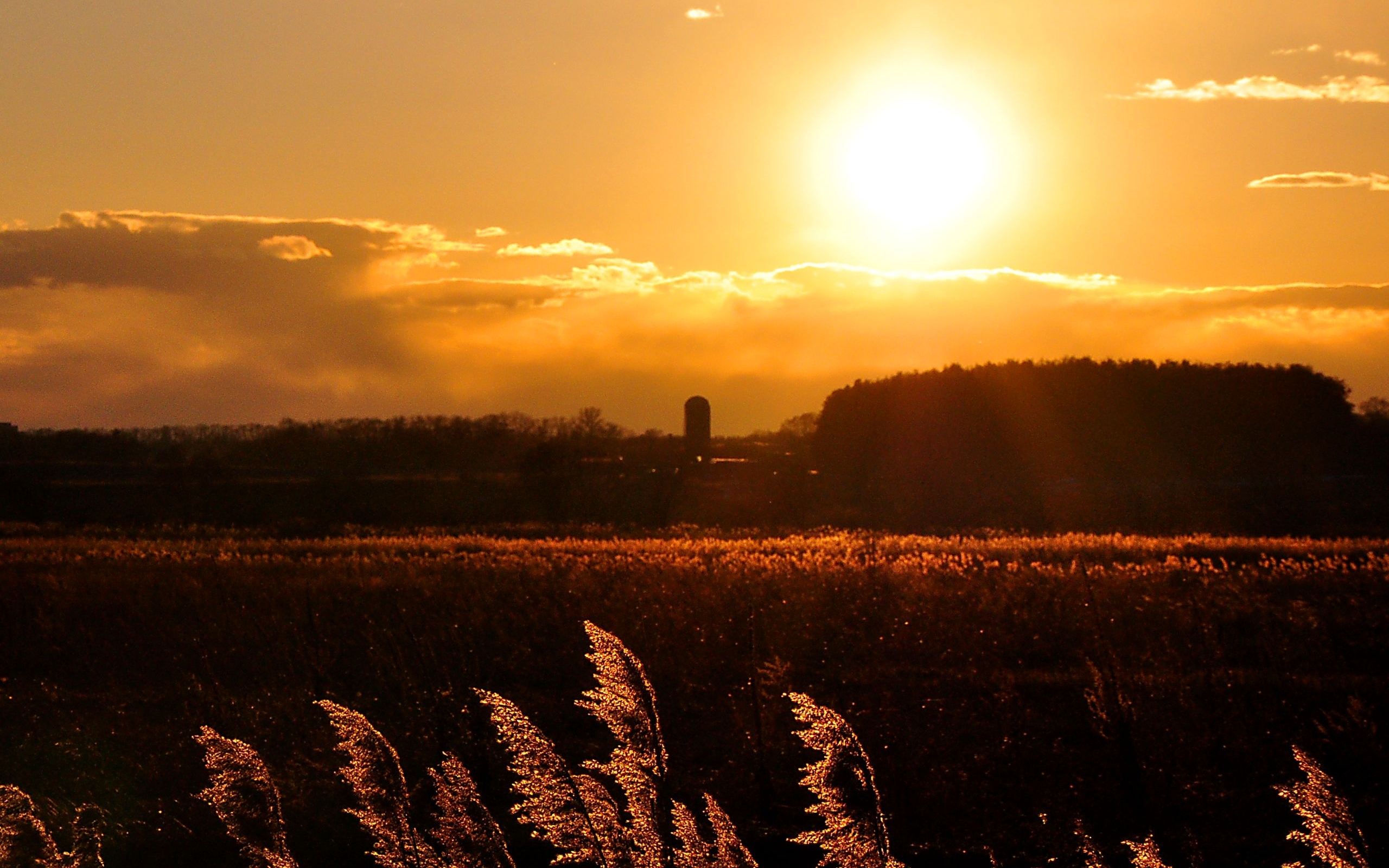 Free download wallpaper Sunset, Landscape, Fields on your PC desktop