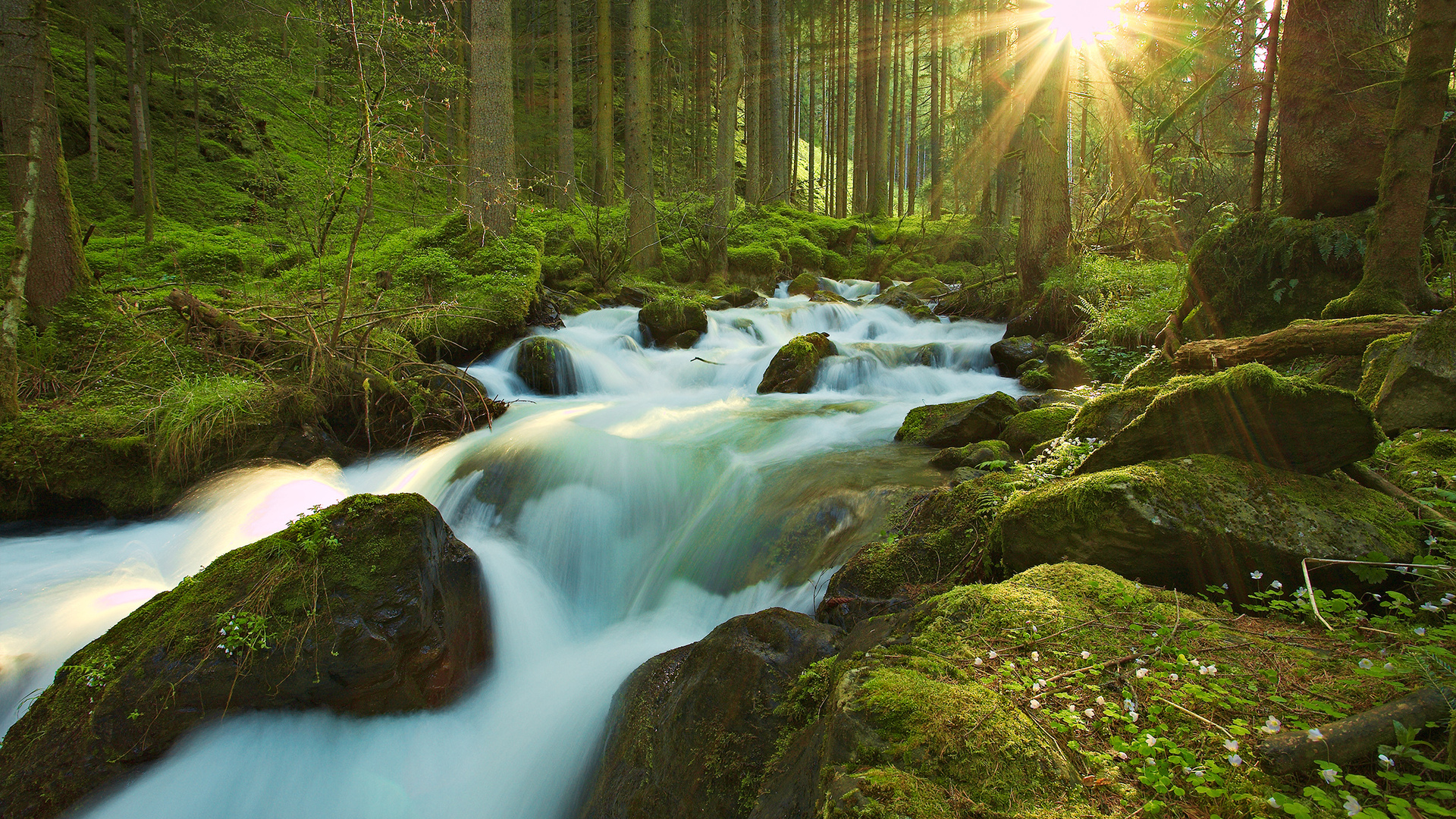 Laden Sie das Strom, Erde/natur-Bild kostenlos auf Ihren PC-Desktop herunter