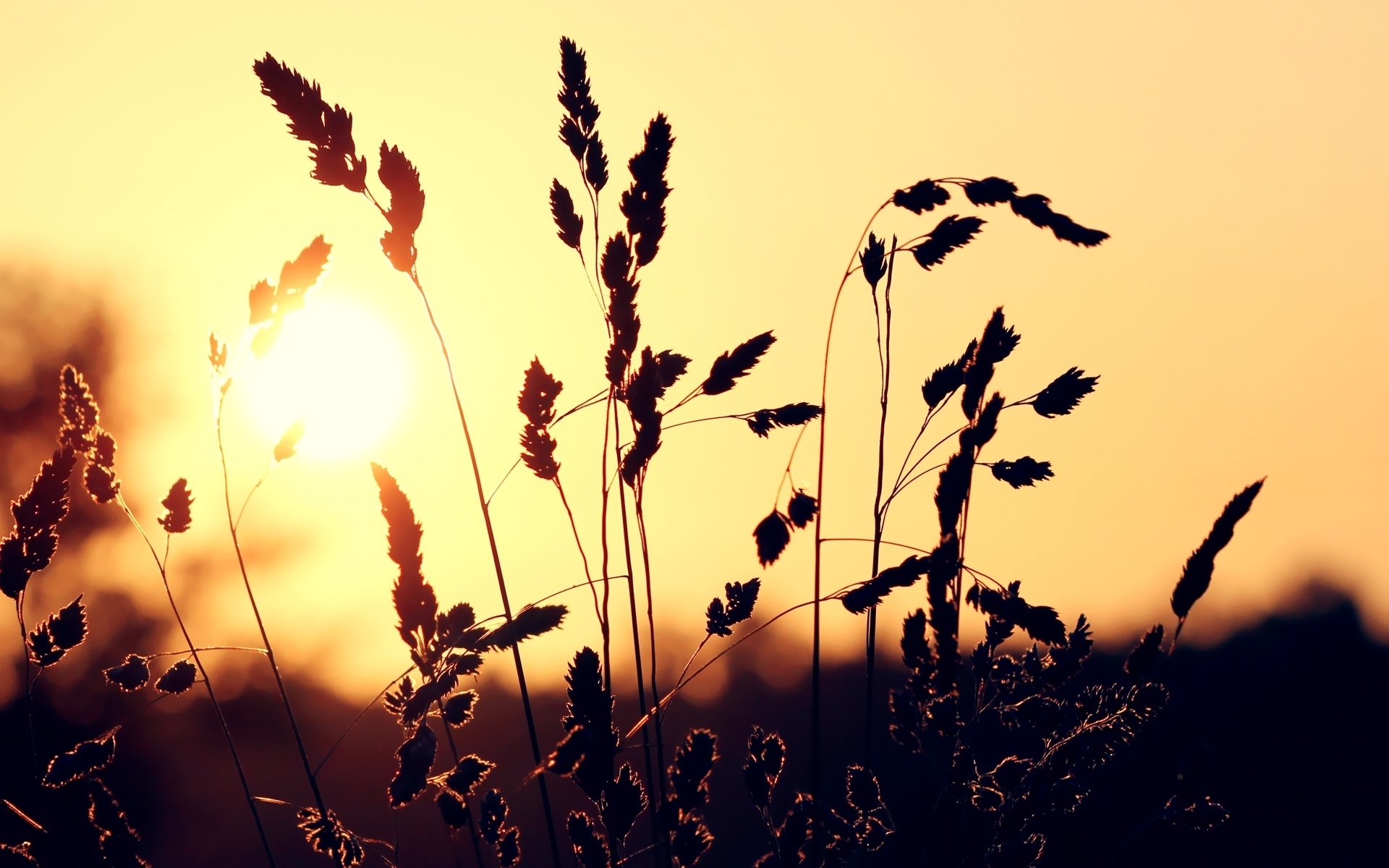 Baixe gratuitamente a imagem Pôr Do Sol, Terra/natureza na área de trabalho do seu PC