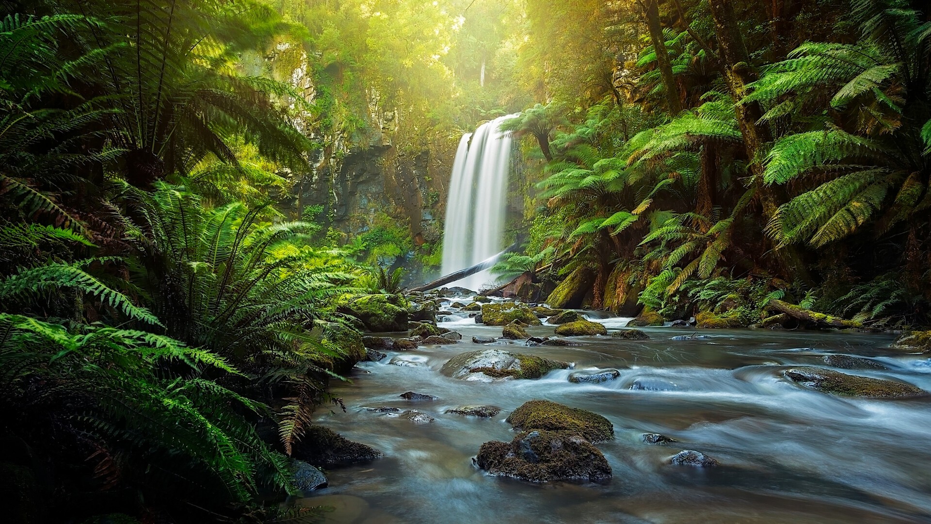 Скачать обои бесплатно Водопады, Водопад, Лес, Зеленый, Тропический, Ручей, Земля/природа картинка на рабочий стол ПК