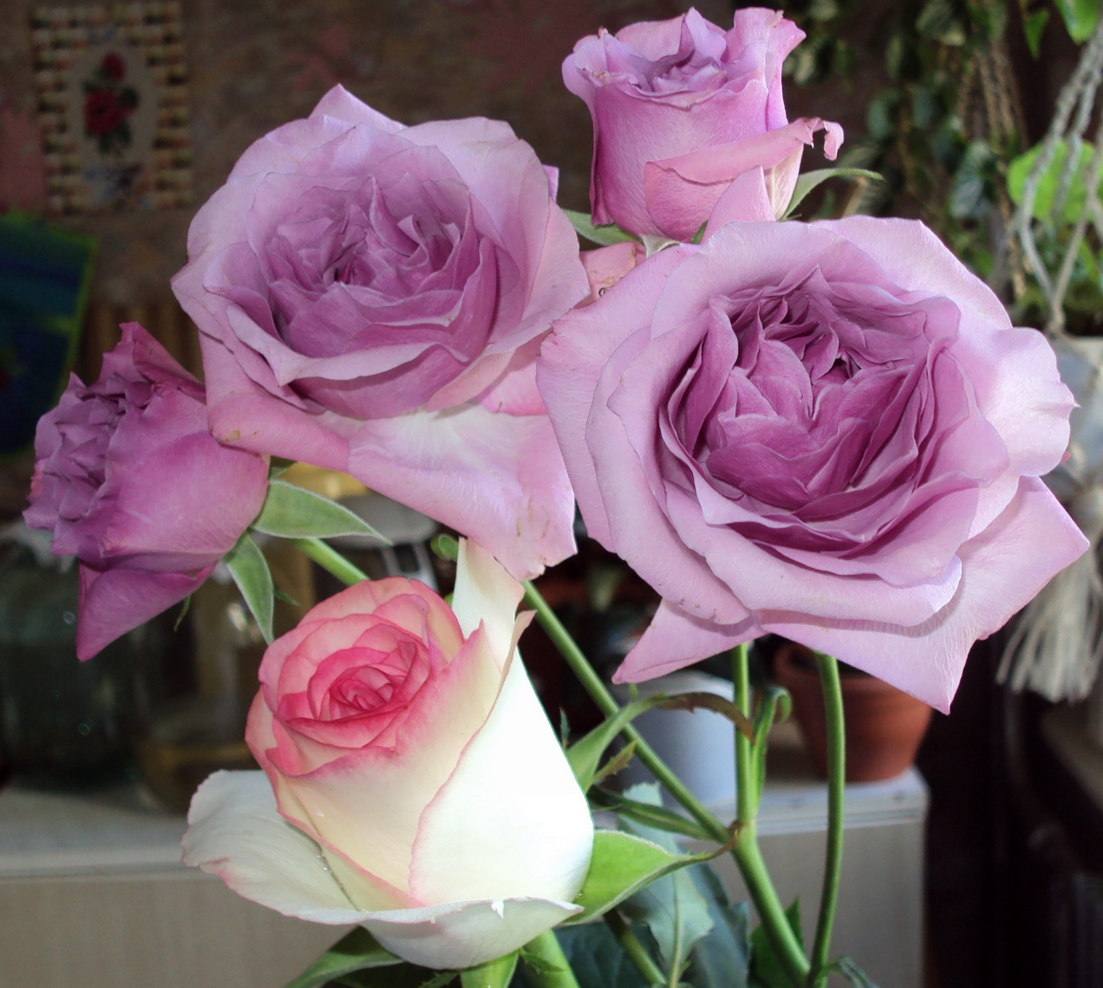 Téléchargez des papiers peints mobile Fleurs, Fermer, Gros Plan, Bouquet, Roses gratuitement.