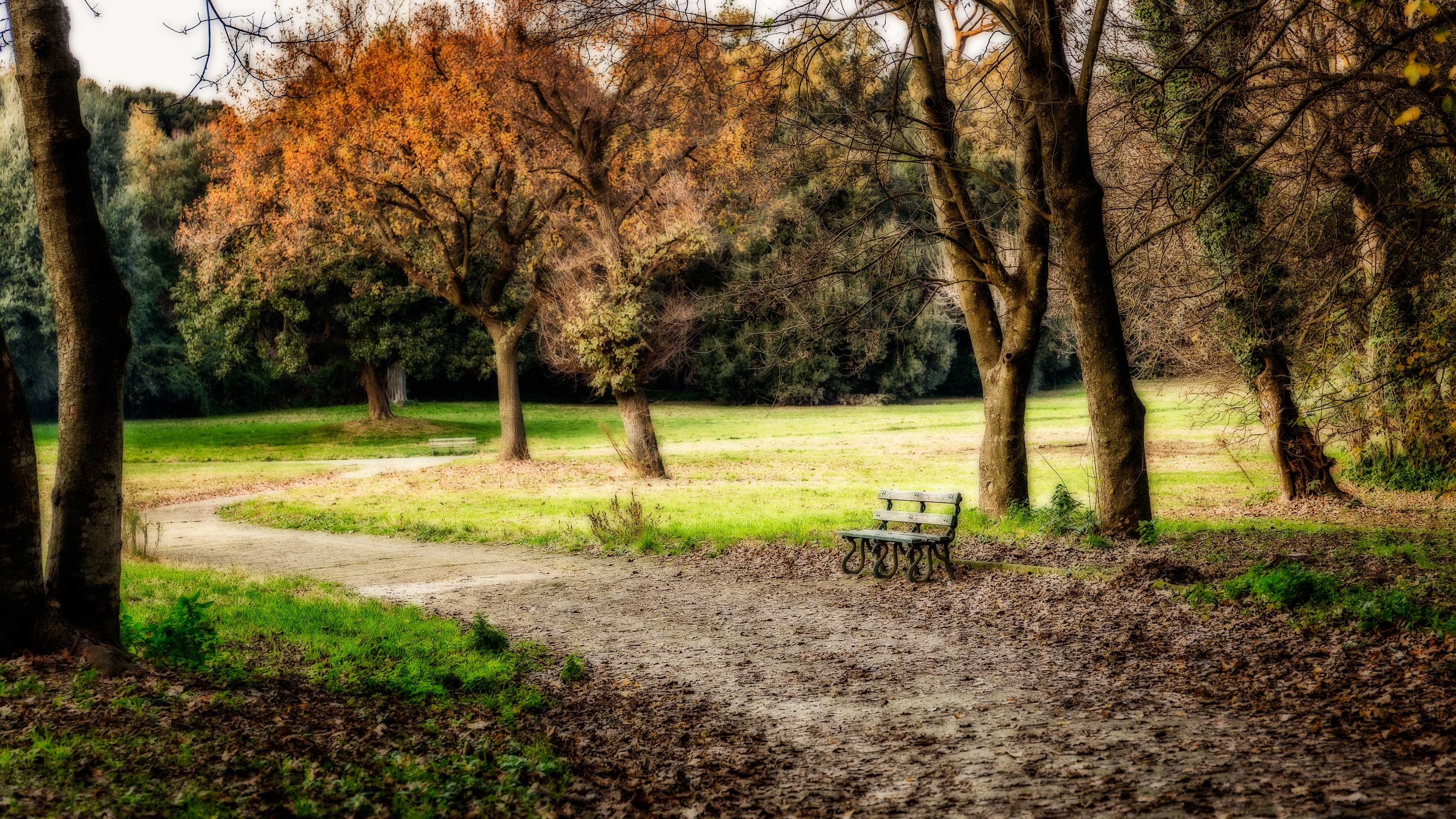 Descarga gratuita de fondo de pantalla para móvil de Naturaleza, Otoño, Banco, Camino, Parque, Árbol, Fotografía.