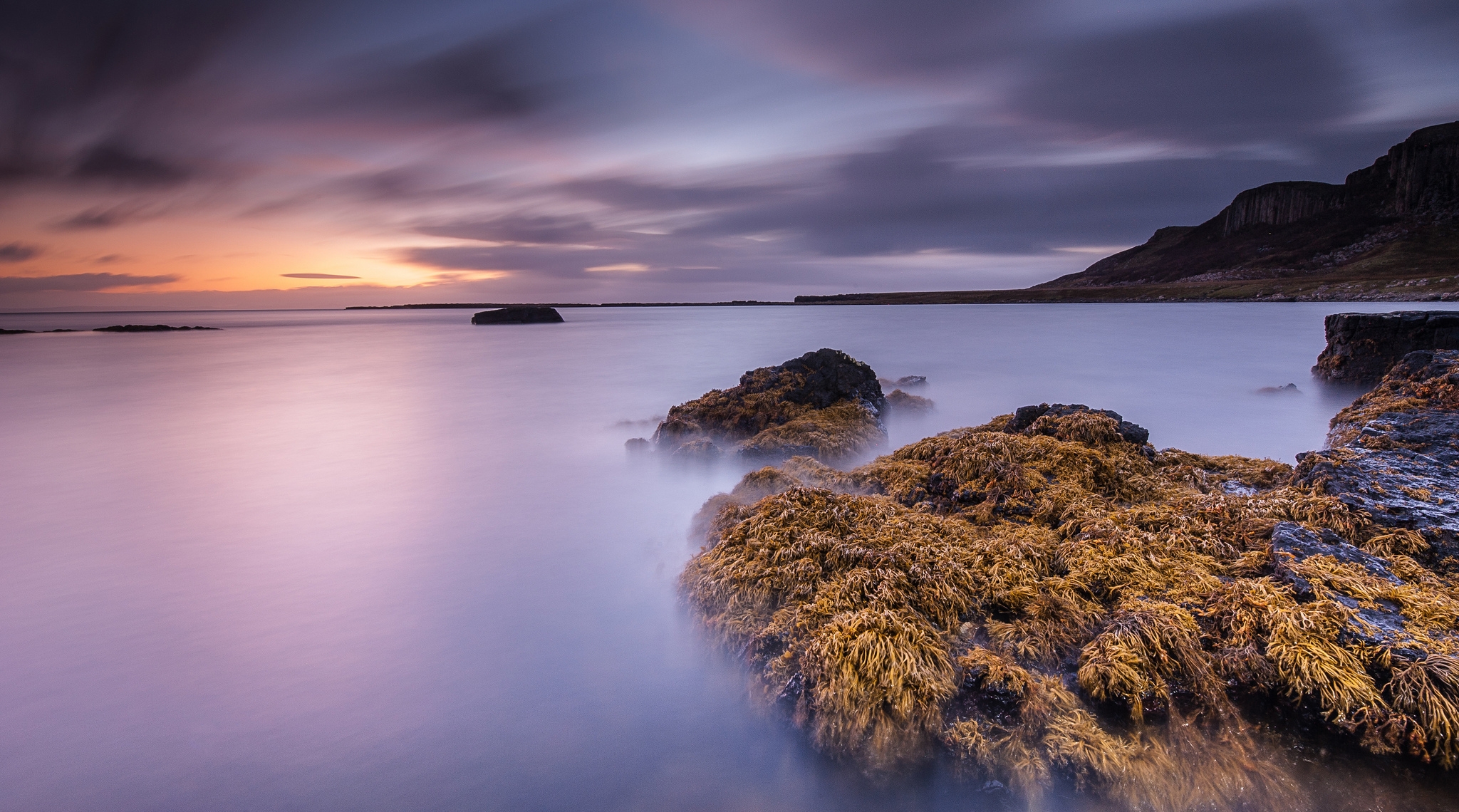 seaweed, nature, stones, dawn, bay, algae, smooth water, smoothness of the water