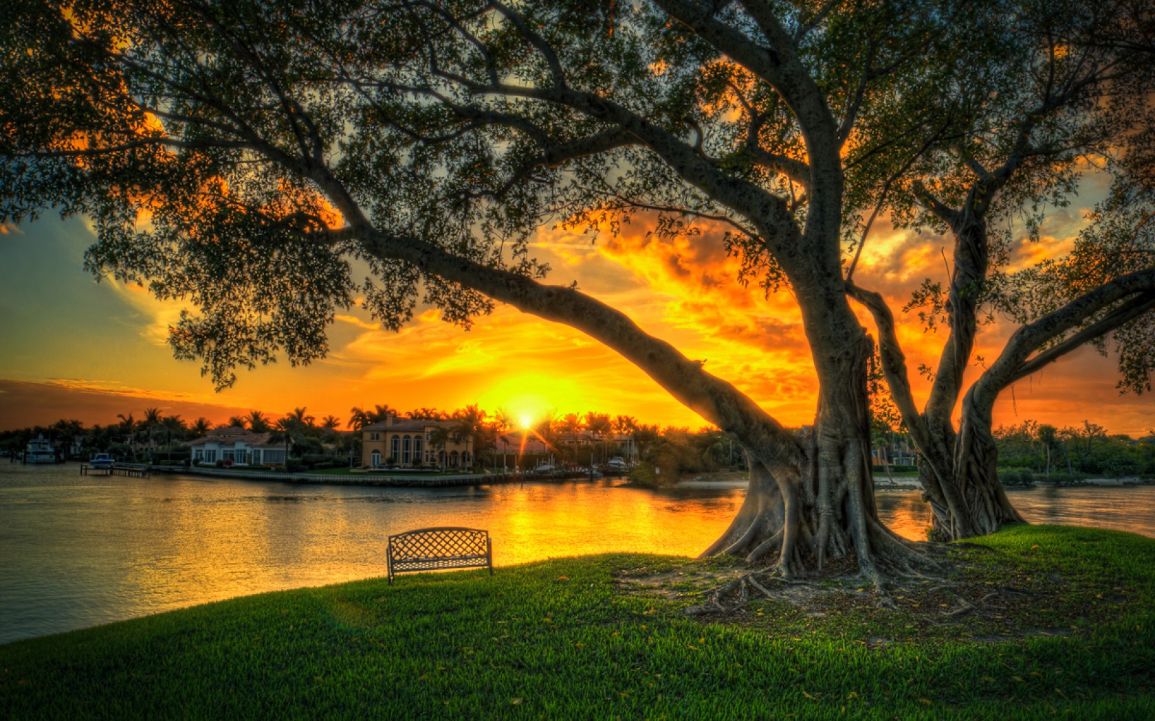 Download mobile wallpaper Sunset, Lake, Tree, Earth, Bench, Photography, Banyan Tree for free.