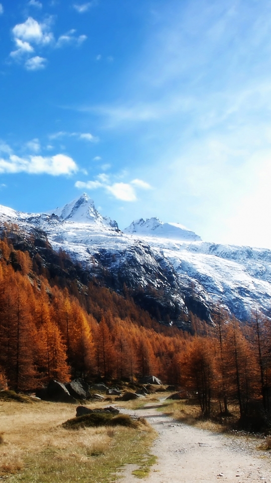 Téléchargez des papiers peints mobile Paysage, Hiver, Montagnes, Montagne, Forêt, L'hiver, Terre/nature gratuitement.