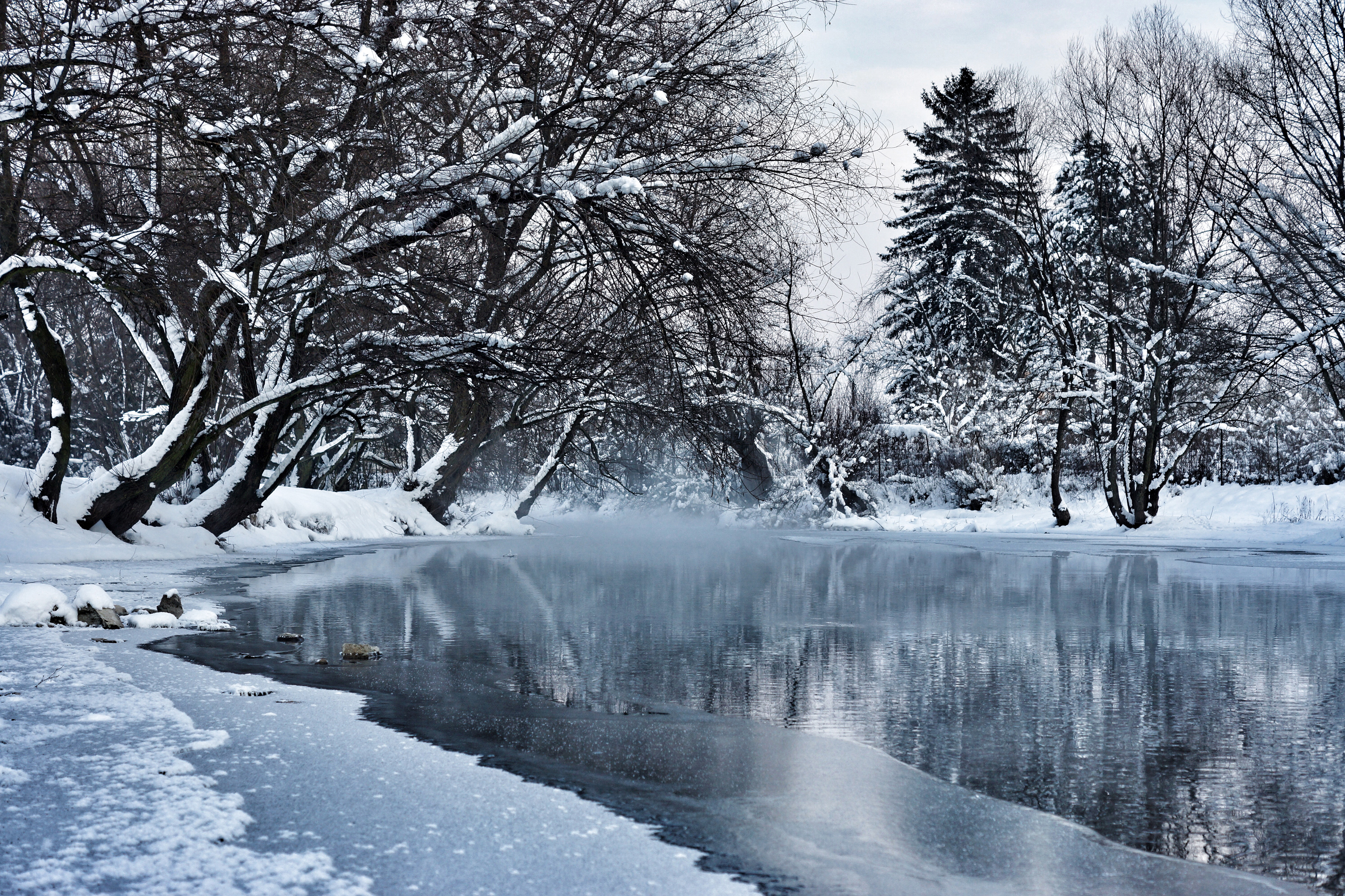 Download mobile wallpaper Winter, Nature, Ice, Snow, Lake, Tree, Earth, Frozen for free.