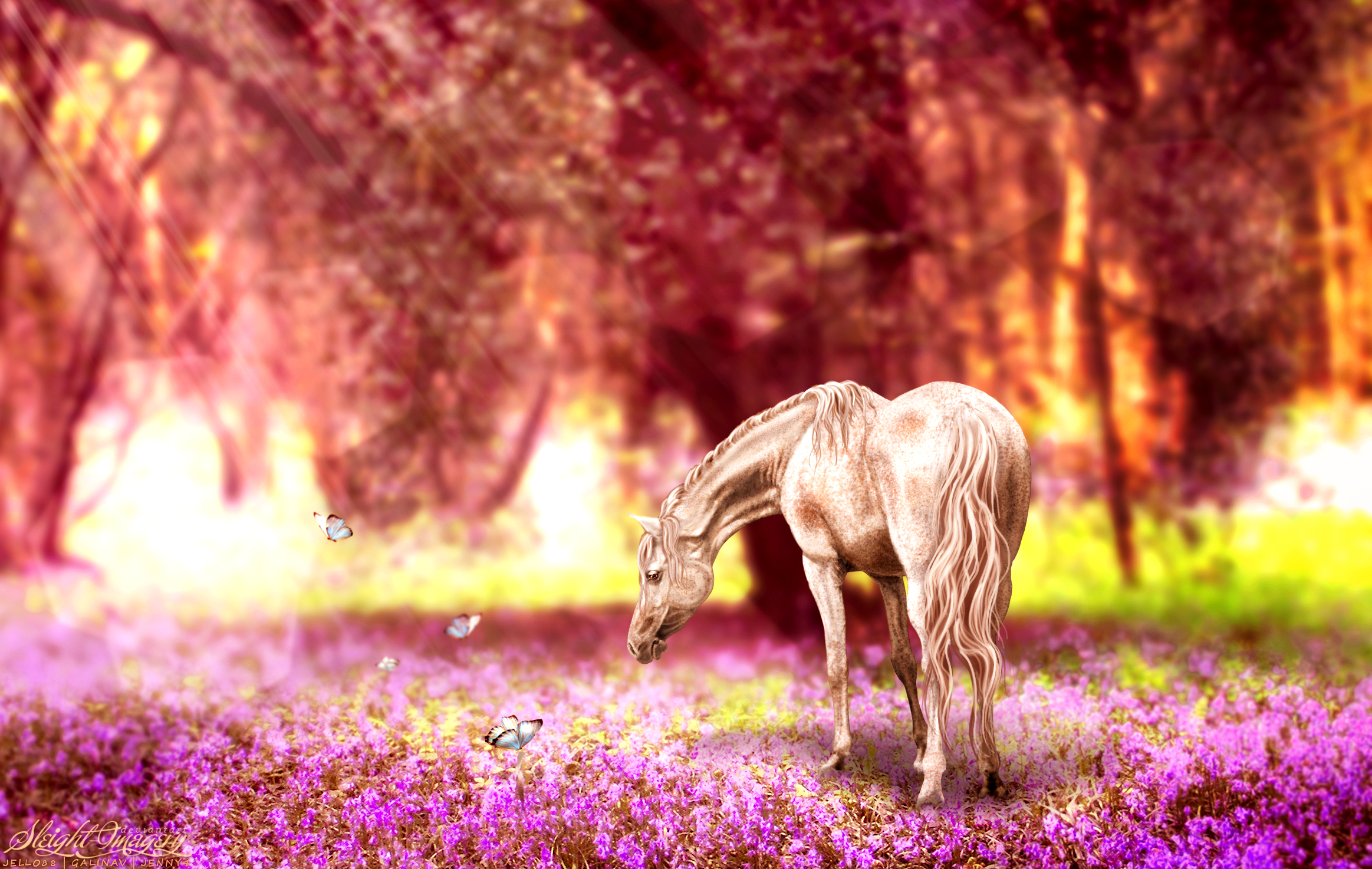 Descarga gratis la imagen Animales, Flor, Mariposa, Vistoso, Caballo, Soleado en el escritorio de tu PC