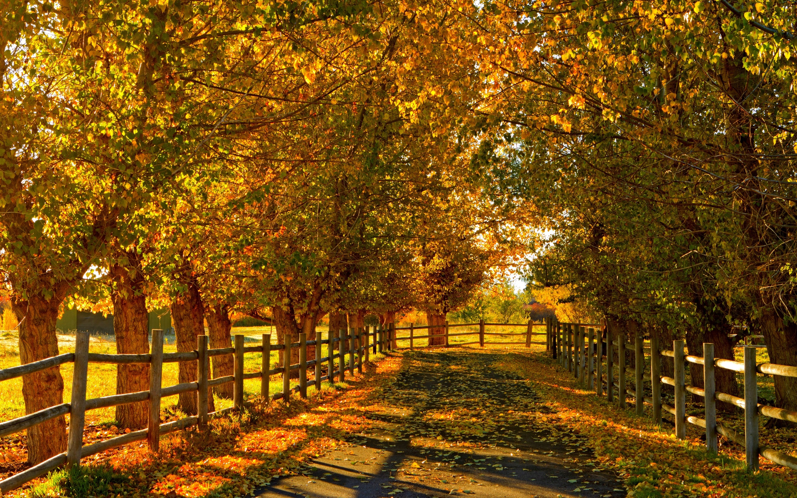 Free download wallpaper Fall, Fence, Photography on your PC desktop