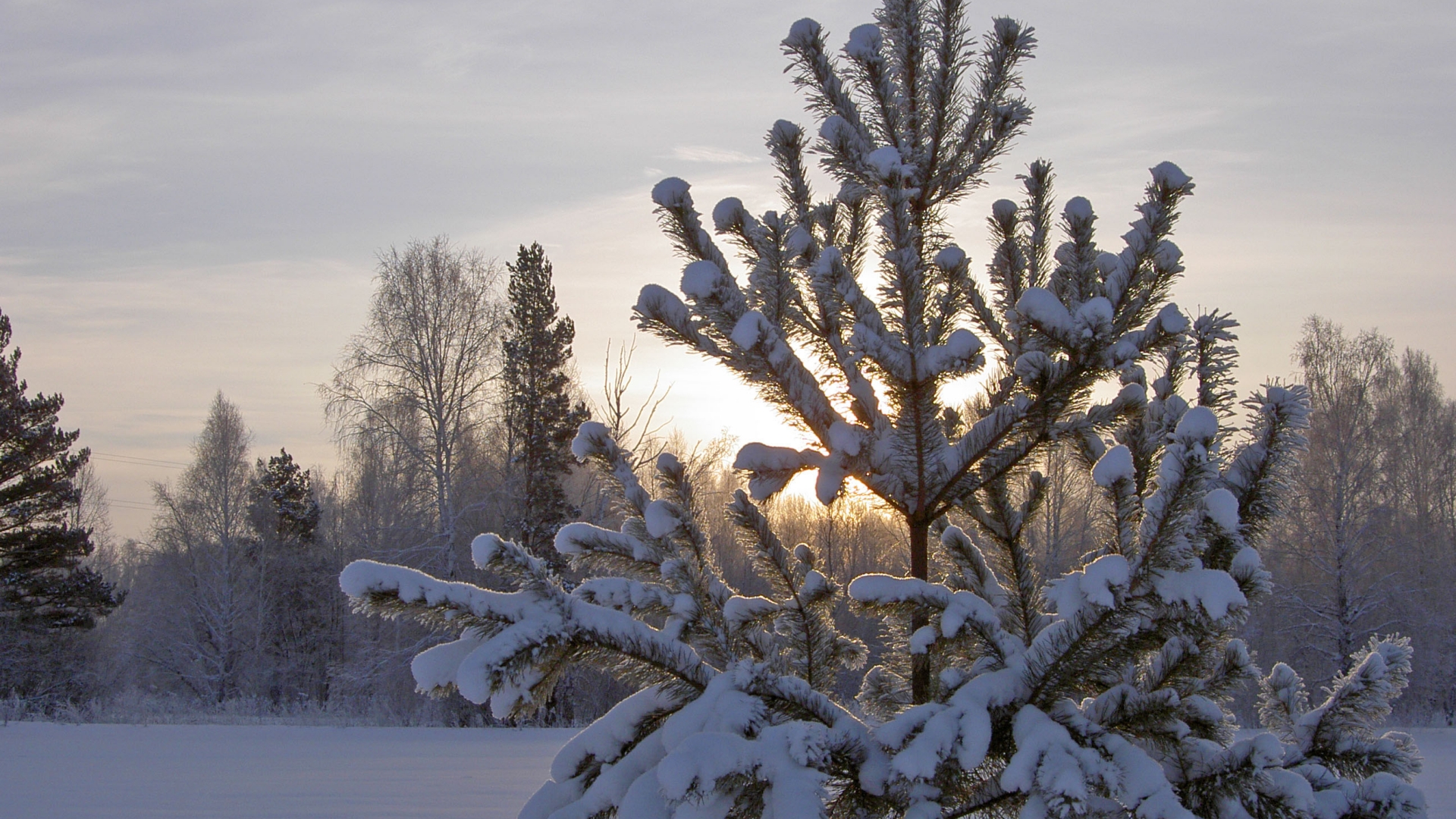 Téléchargez gratuitement l'image Hiver, Terre/nature sur le bureau de votre PC