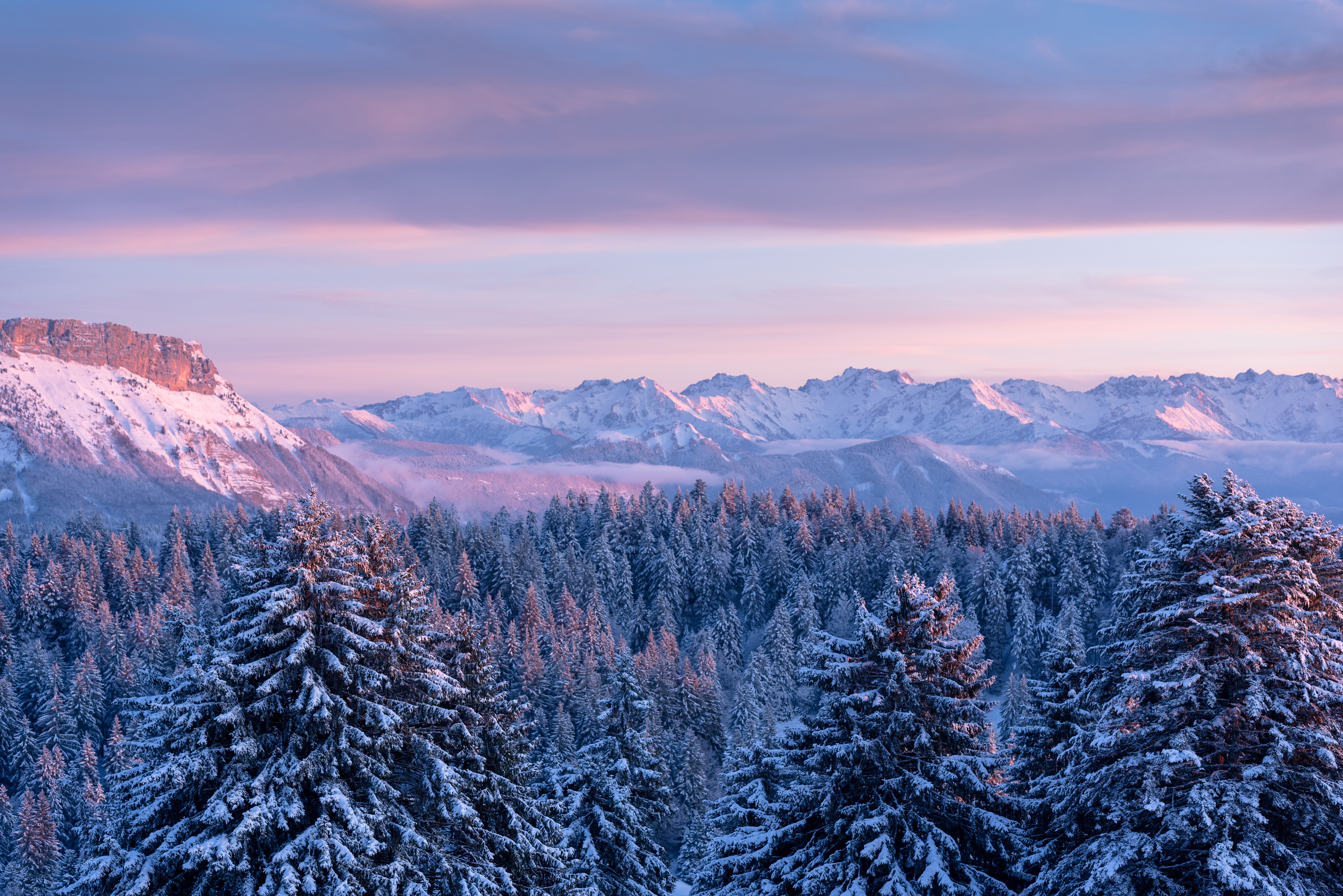 1533846 descargar imagen invierno, tierra/naturaleza, abeto, bosque, francia, montaña, nieve: fondos de pantalla y protectores de pantalla gratis