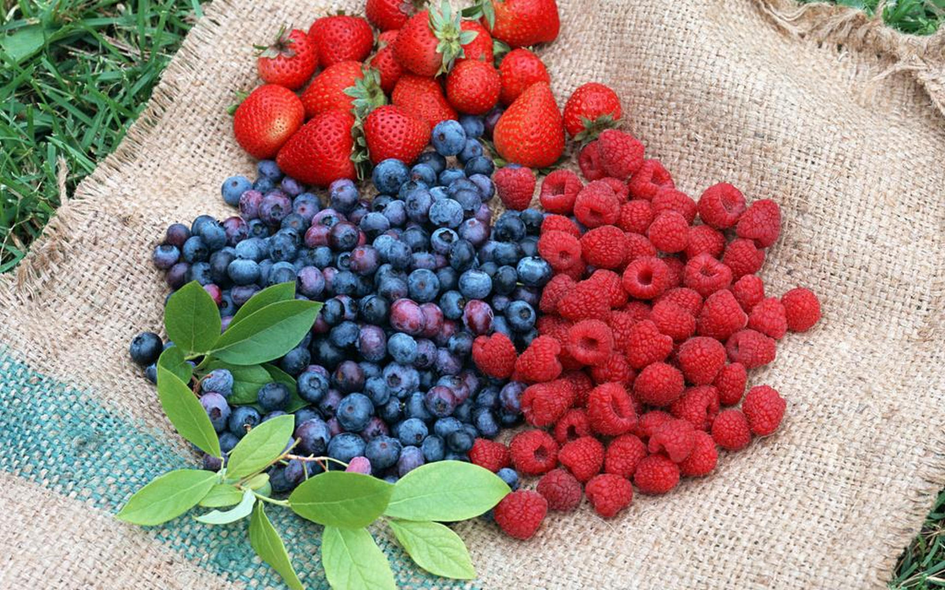 Free download wallpaper Food, Berry on your PC desktop