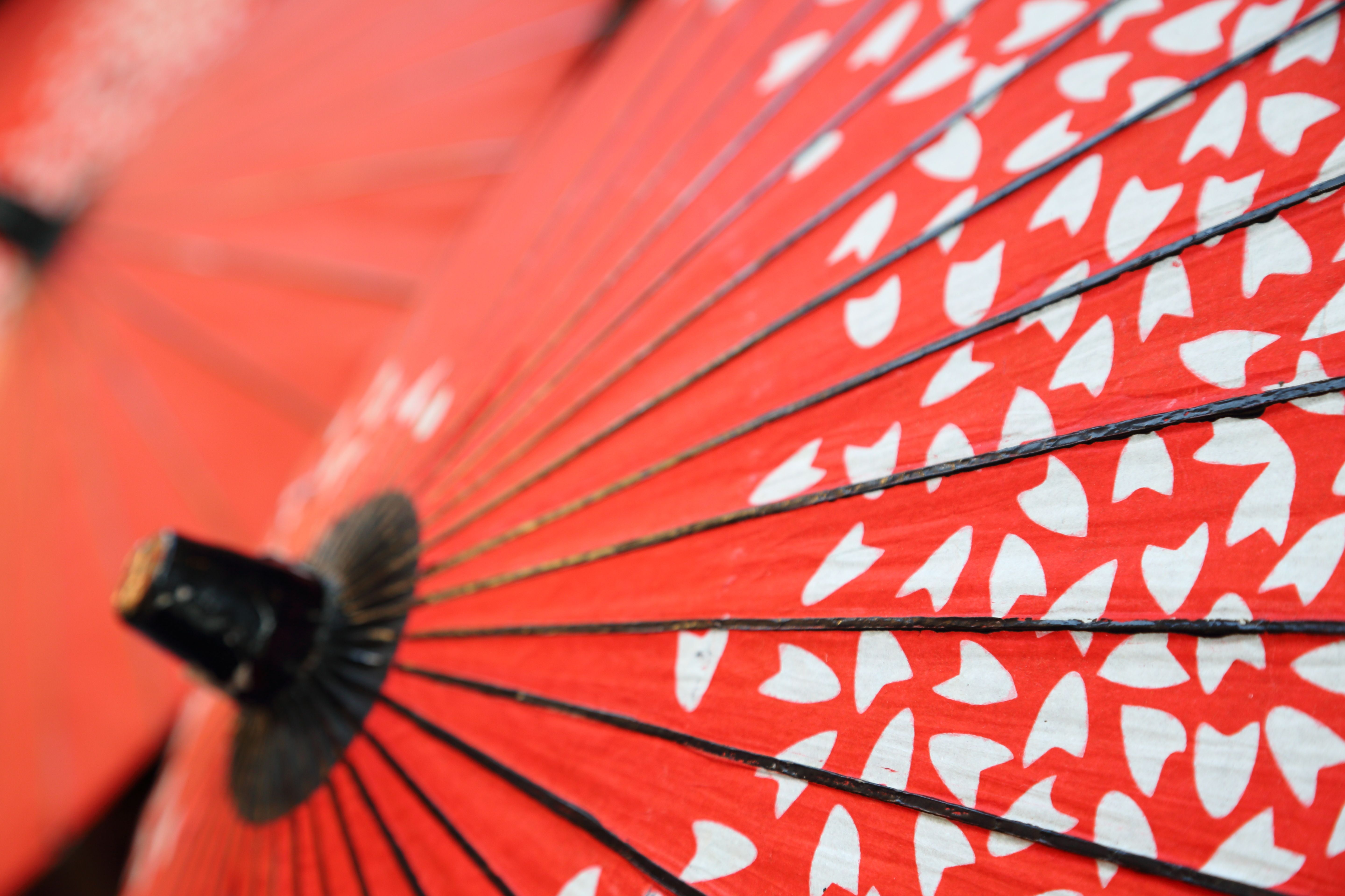 Download mobile wallpaper Japan, Umbrella, Photography for free.