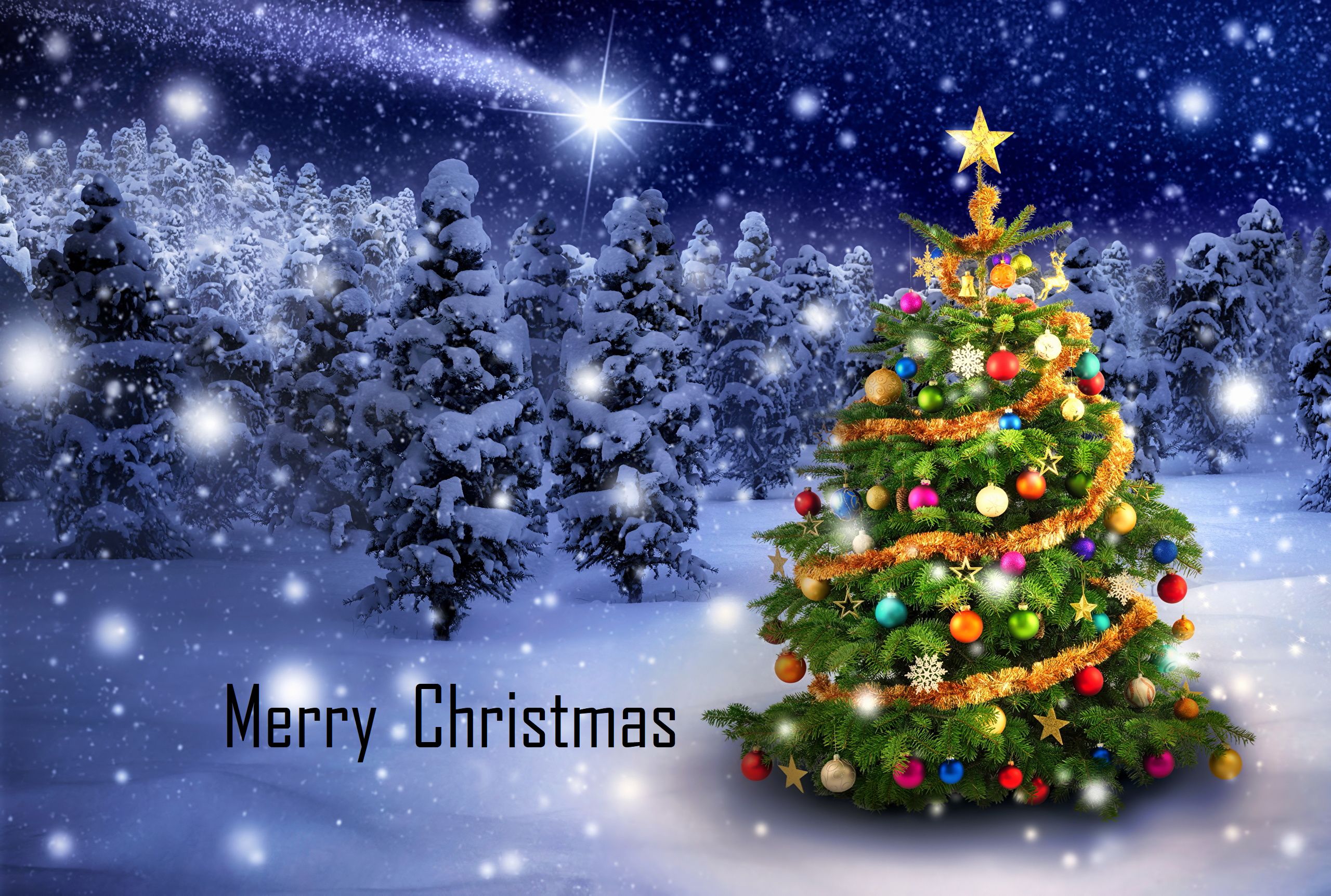 Download mobile wallpaper Snow, Christmas, Holiday, Christmas Tree, Merry Christmas for free.