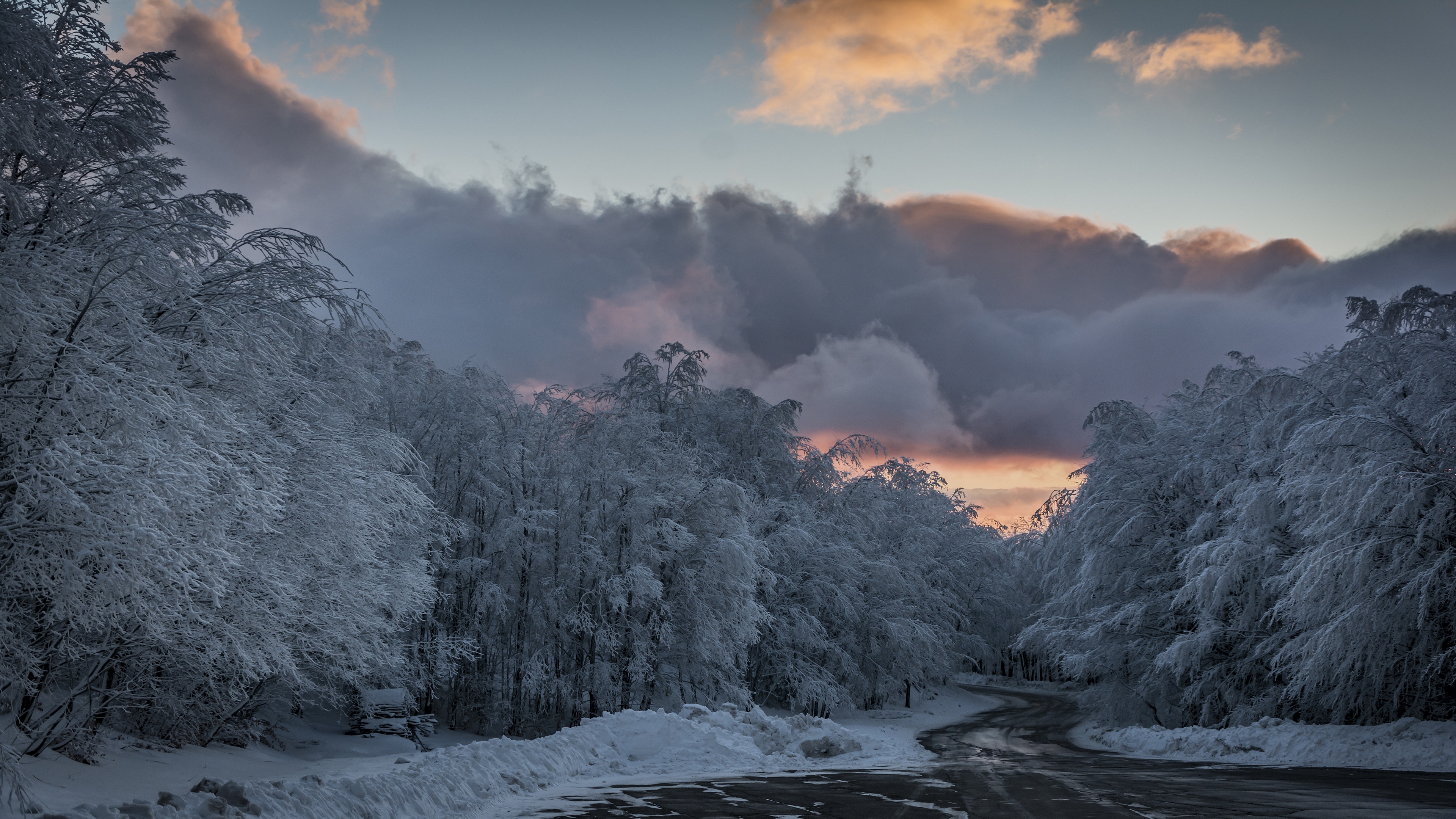 Laden Sie das Winter, Natur, Straße, Wald, Wolke, Menschengemacht-Bild kostenlos auf Ihren PC-Desktop herunter