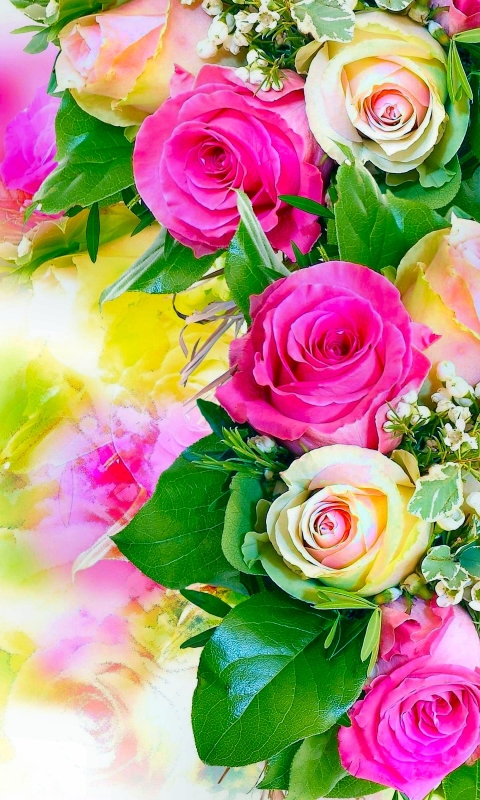 Download mobile wallpaper Flowers, Flower, Rose, Bouquet, Earth, Pastel, White Rose, Pink Rose for free.